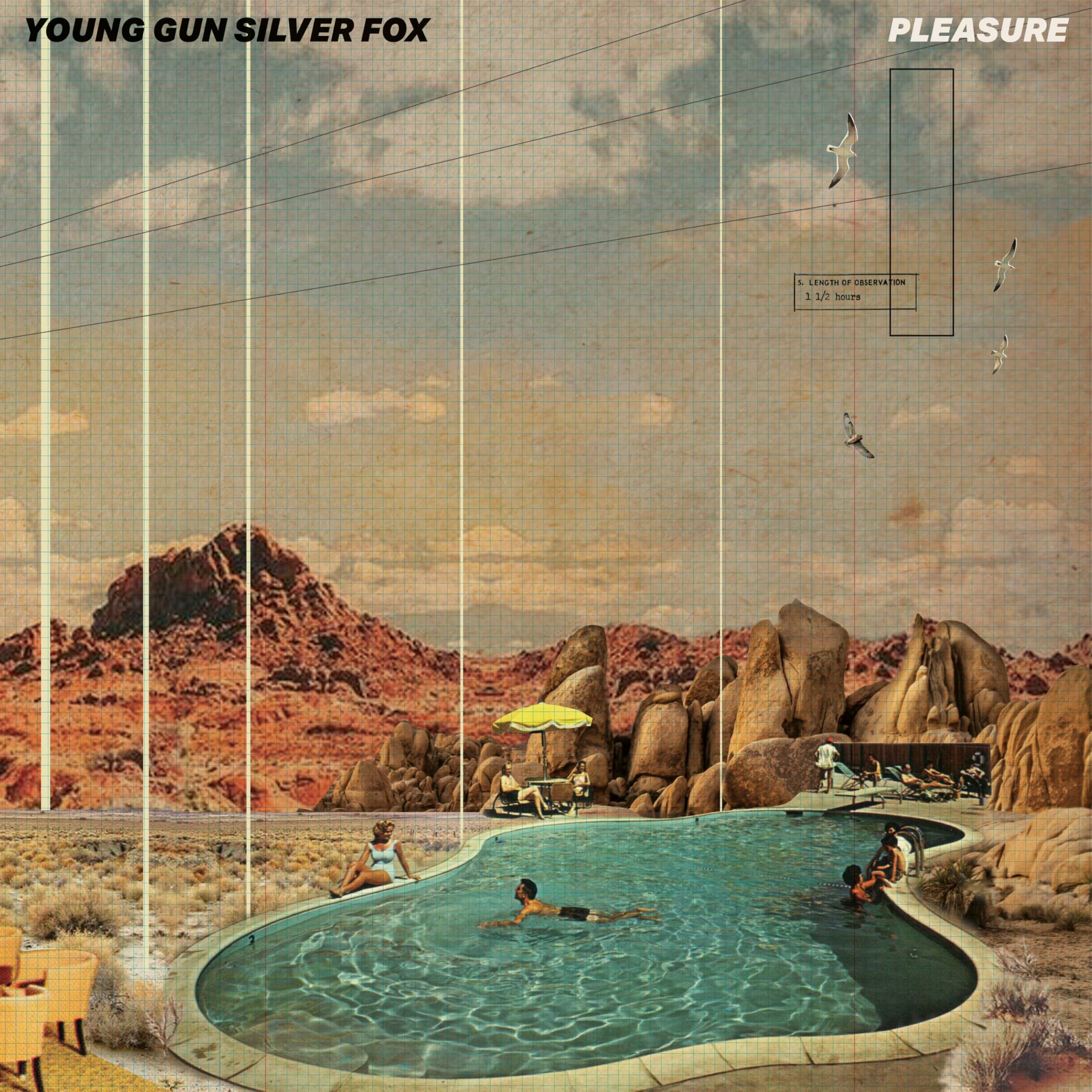 YOUNG GUN SILVER FOX PLEASURE  LP  MINT