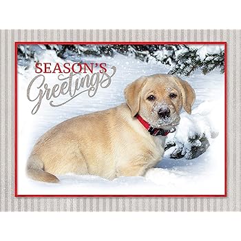 yellow lab christmas