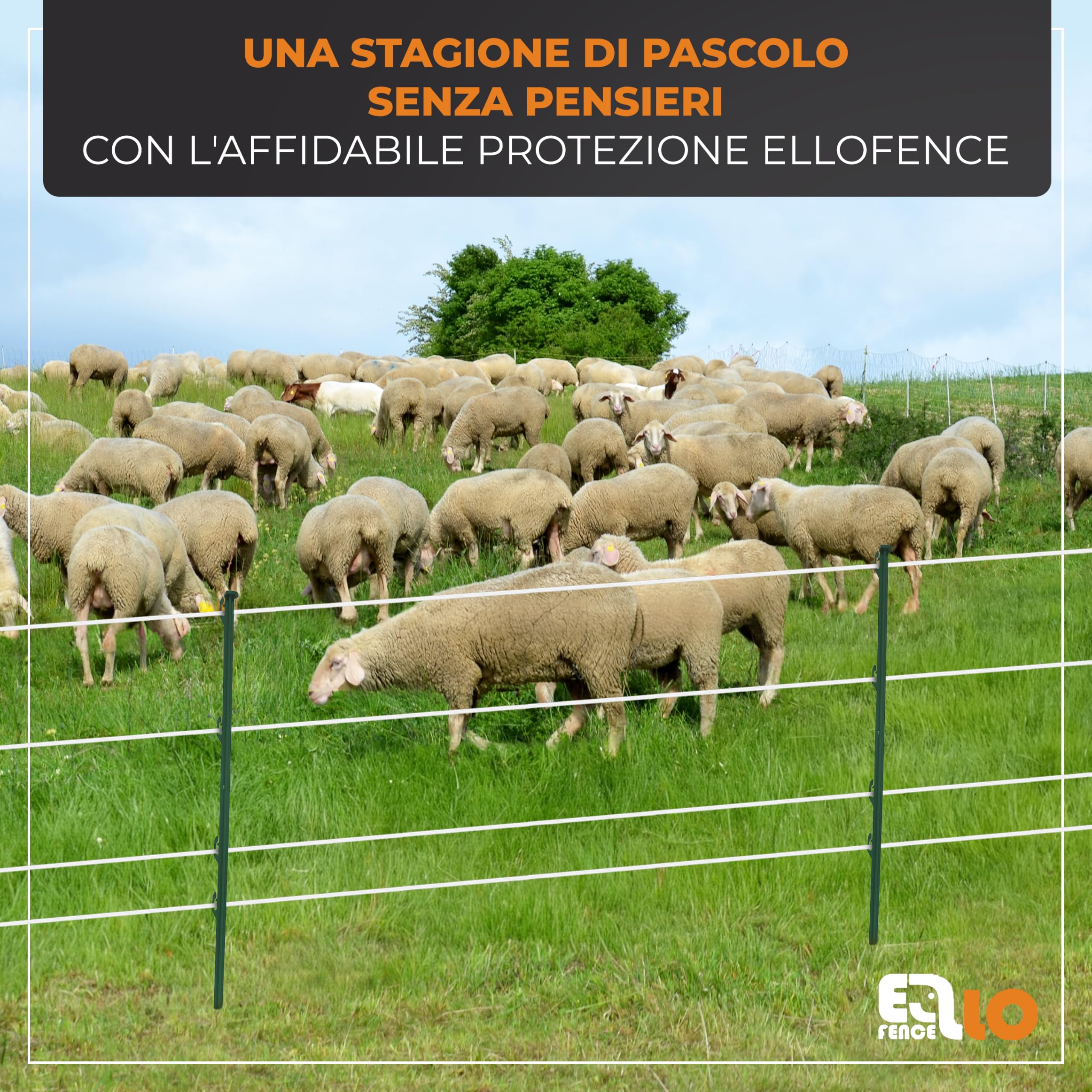 Nastro per recinto elettrico 12,5mm x 200m | Resistente ai raggi UV