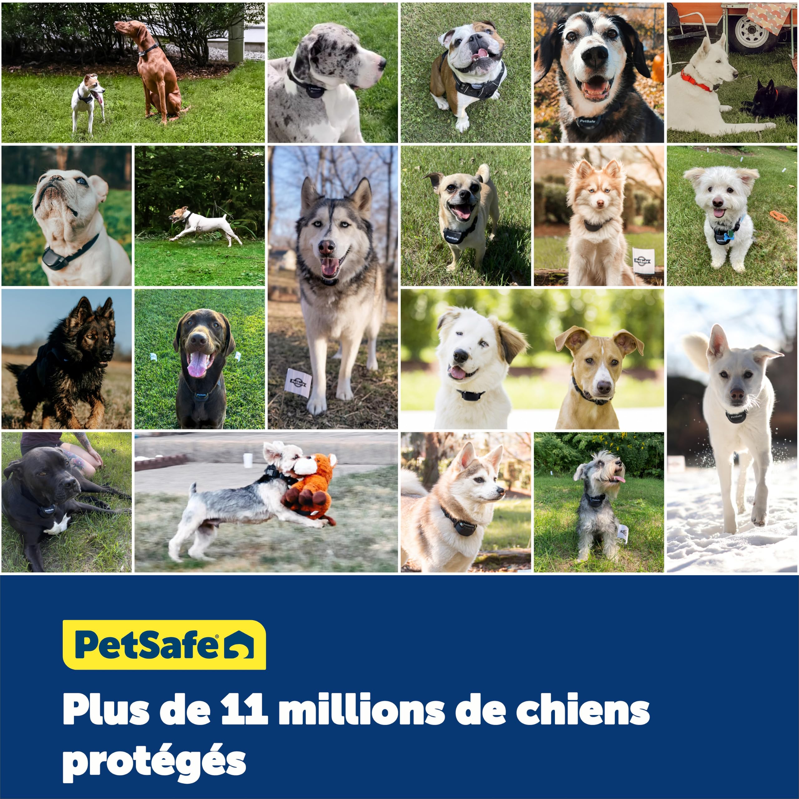 PetSafe - Collier Récepteur pour Clôture Souterraine pour Chiens Têtus Étanche & À Piles, Collier Entraînement Invisible Réglable - pour Chiens De Plus De 6 Mois Pesant 3,6 Kg Et Plus