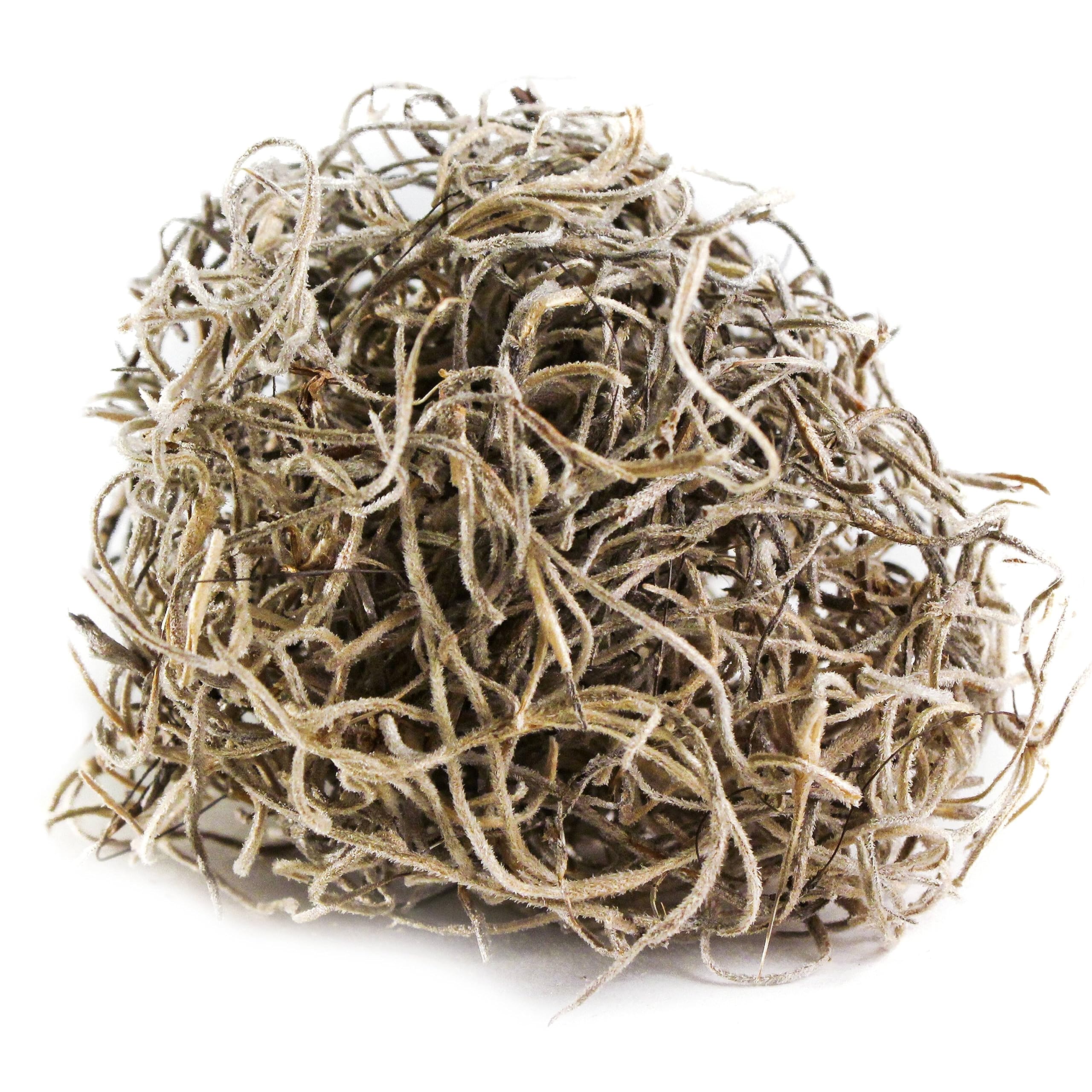 Ashland Panacea Spanish Moss 8oz