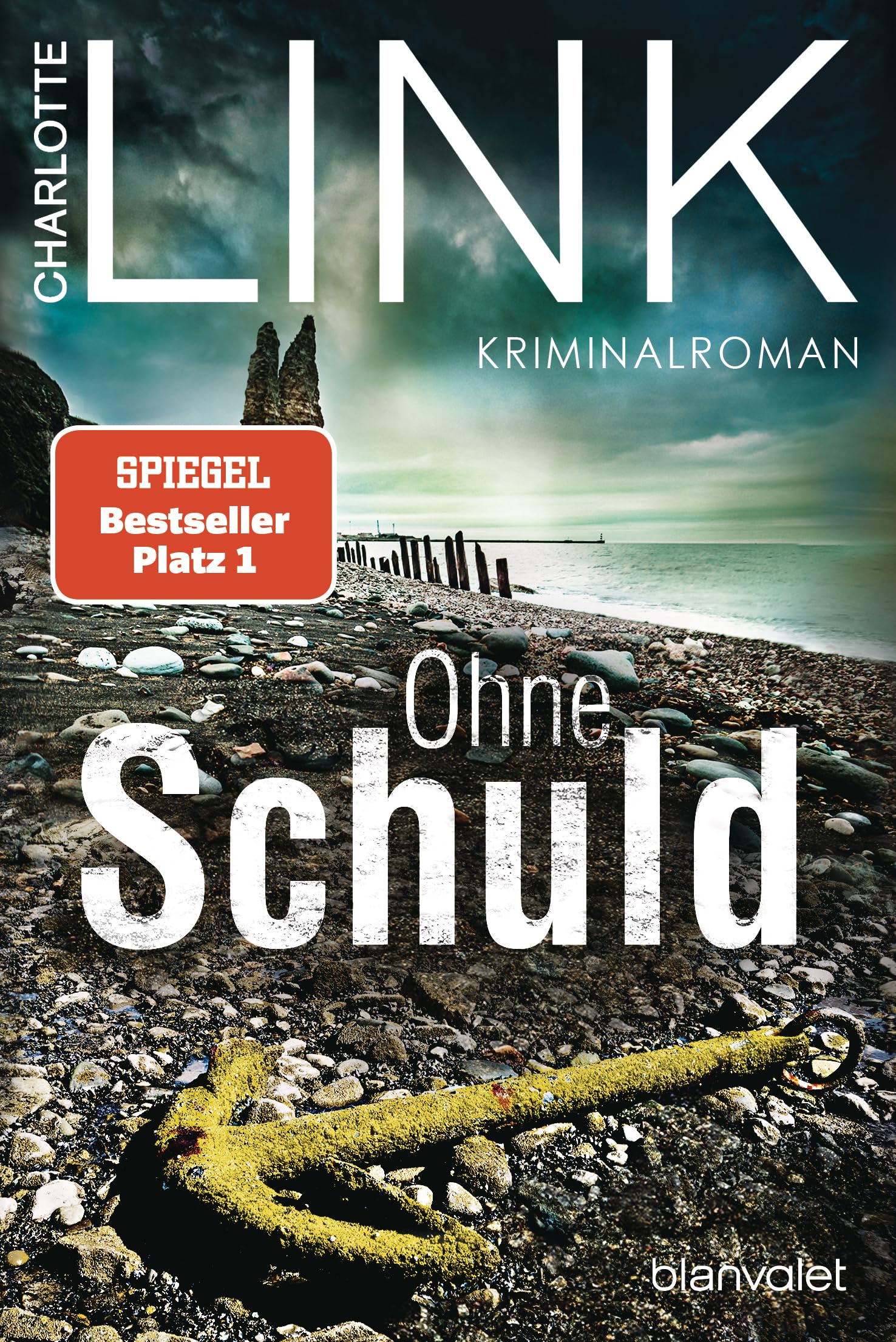 Ohne Schuld: Kriminalroman (Kate Linville & Caleb Hale, 3)