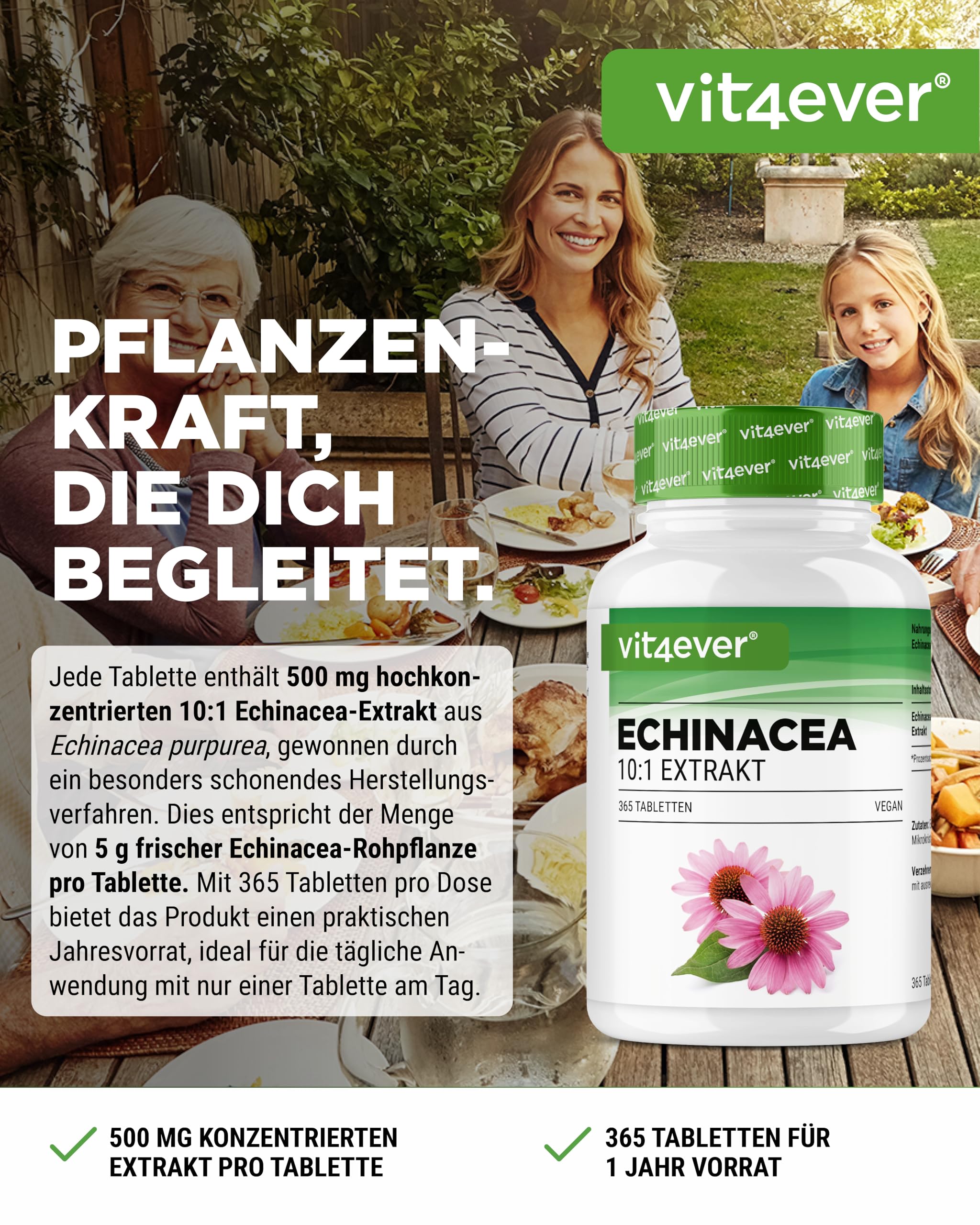 vit4ever Echinacea 500 mg - 365 vegane Tabletten - Natürliches Echinacea Extrakt 10:1 - Hochdosiert - Ohne unerwünschte Zusätze - Vegan