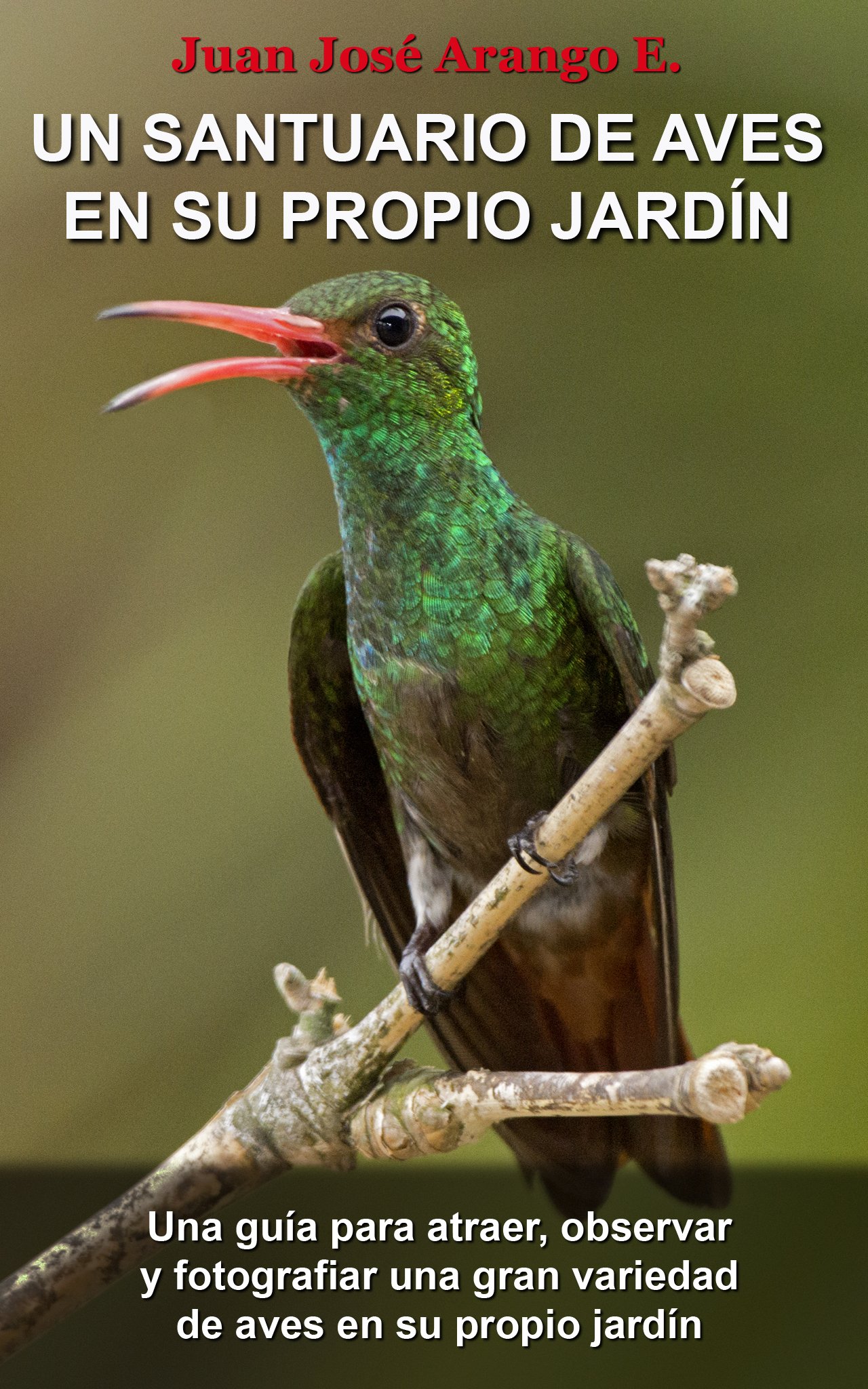 UN SANTUARIO DE AVES EN SU PROPIO JARDÍN