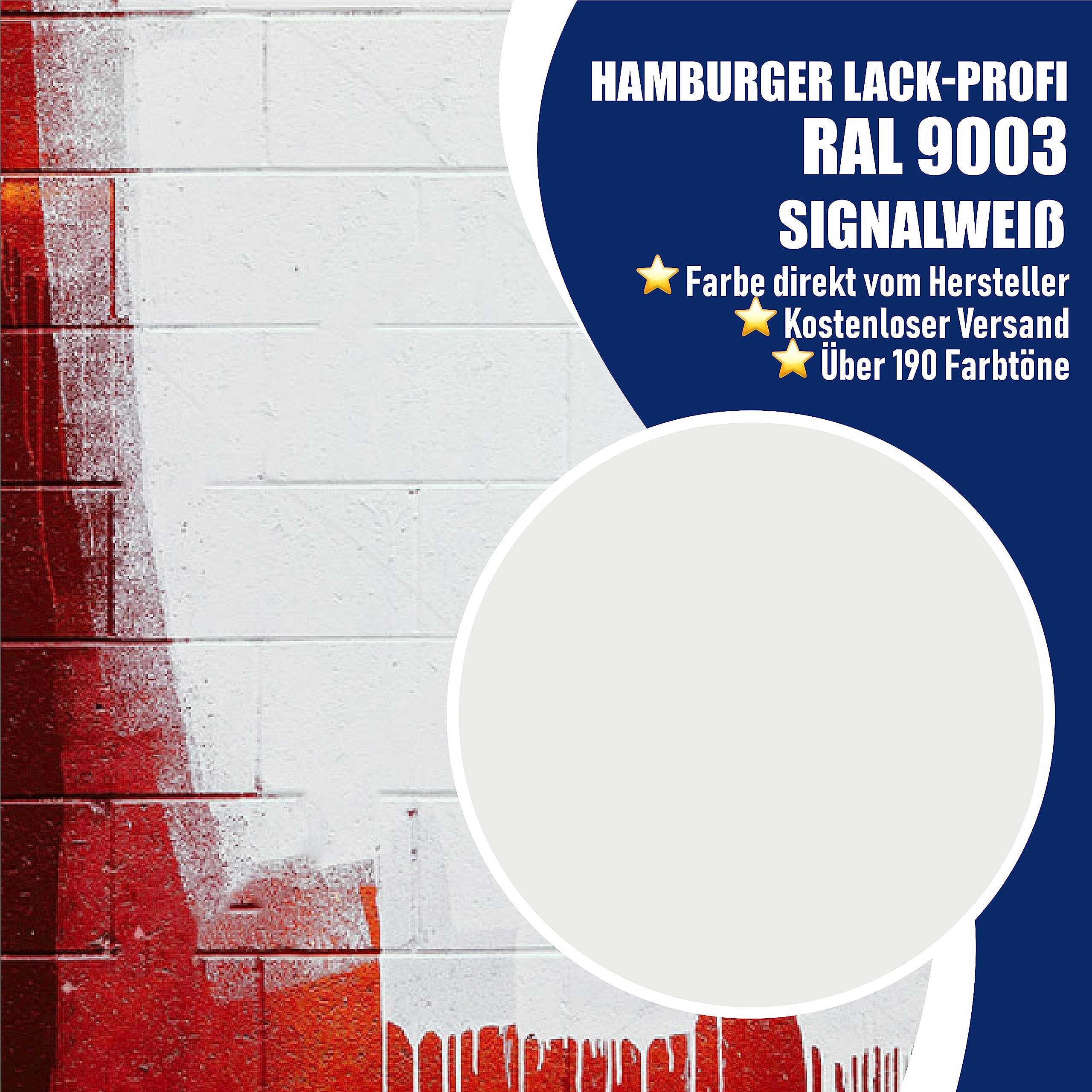 Hamburger Lack-Profi Betonfarbe SEIDENMATT Signalweiß RAL 9003 Weiß Bodenfarbe Bodenbeschichtung Betonbeschichtung Fassadenfarbe (2,5 L)
