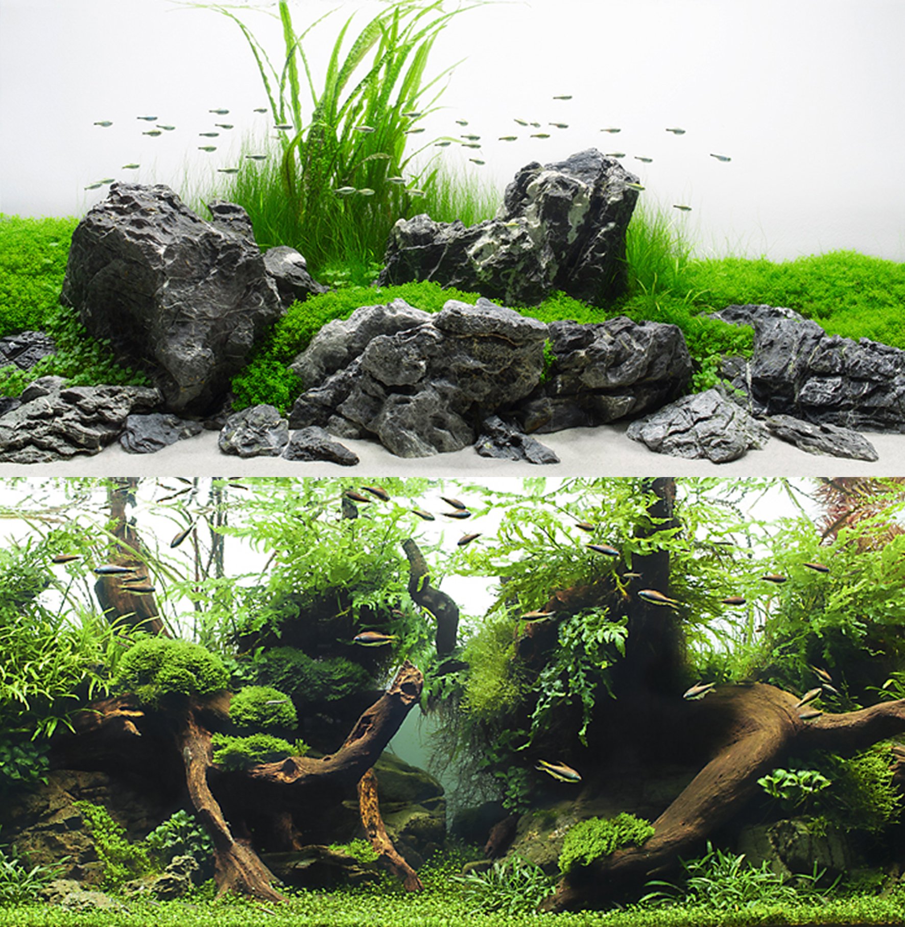 wave Double Background Amazonia Blister, 30 X 60 cm