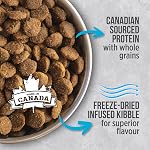 Nutrience Infusion Healthy Adult Dog Food, 10 kg (22 lb), Fresh Canadian Ocean Fish, Dry Dog Food, Nourriture Pour Chien, Manger Pour Chien
