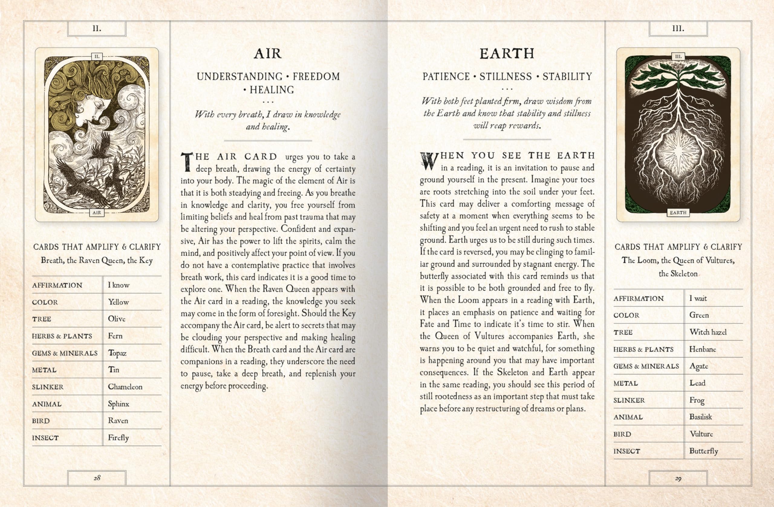 The Black Bird Oracle Deck: A 52-Card Deck and Guidebook