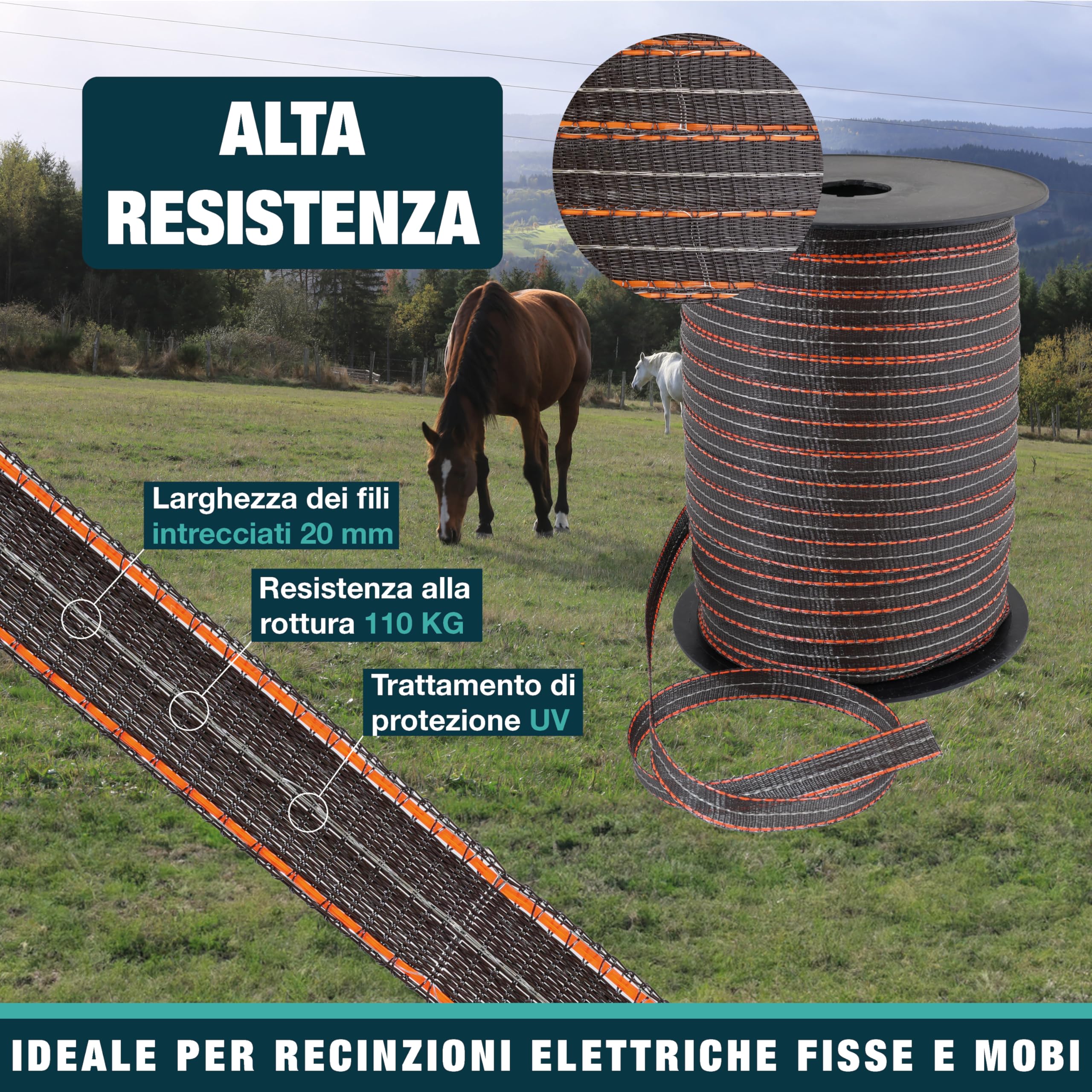 Nastro ZZ 20 mm - Recinzione elettrica per animali (mucca, capra, pecora, cavallo) - Bobina da 400 m - 5 fili in acciaio inox diametro 0,20 mm e 1 filo di rame diametro 0,30 mm