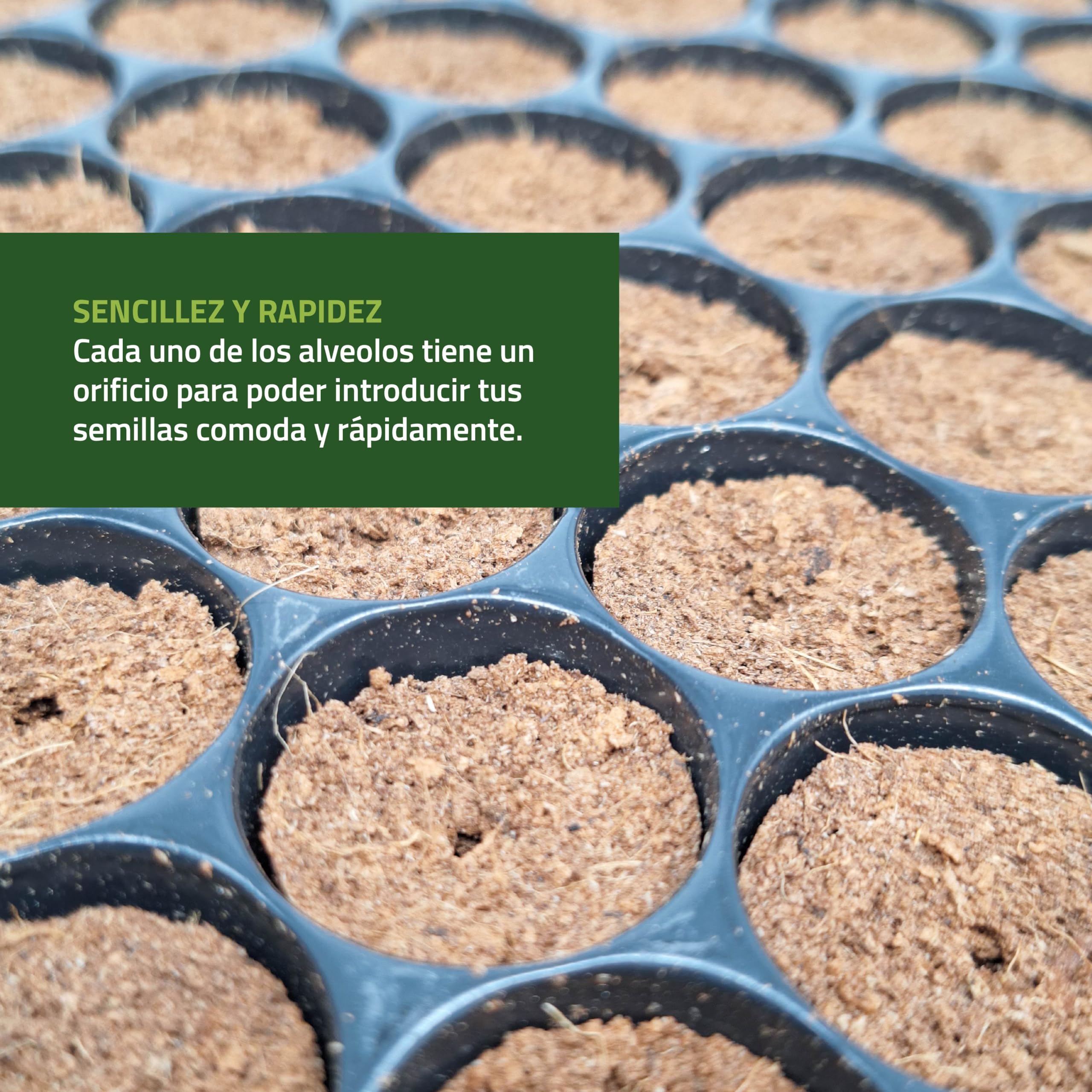 Bandeja de Semilleros de Germinación 104 Alveólos | Propagador de Semillas con Tierra y Orificio para Semilla o Planta | Mejor Desarrollo Raíces | Biodegradable