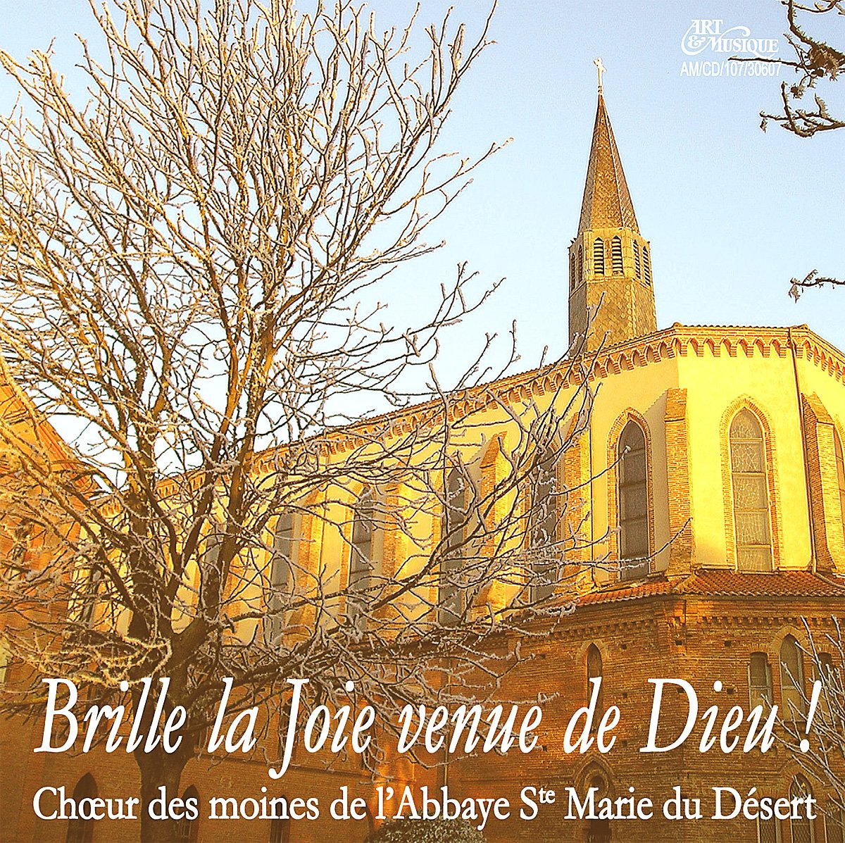 Brille la Joie venue de Dieu [Audio CD]