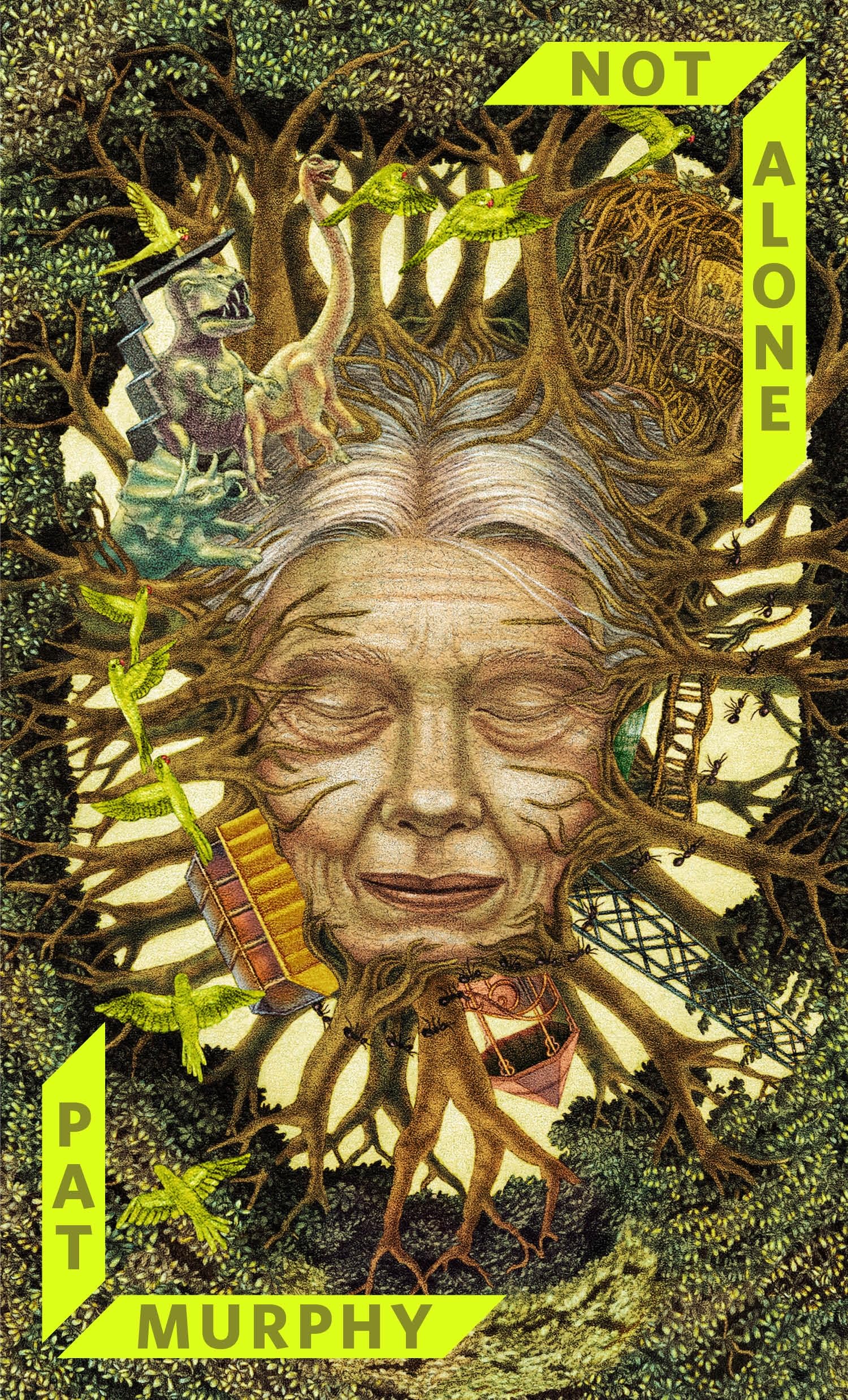 Cover of Not Alone