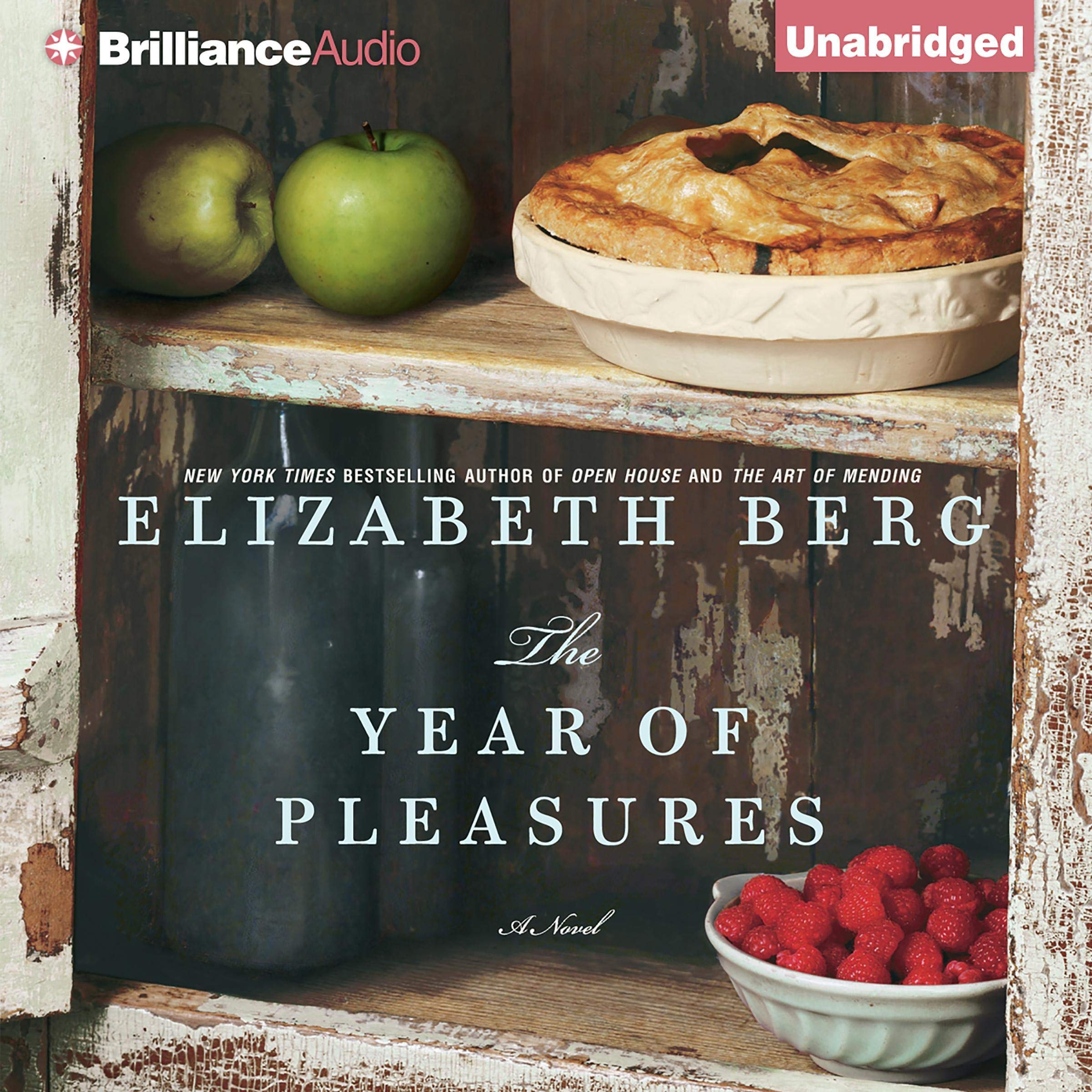 Cover art for The Year of Pleasures