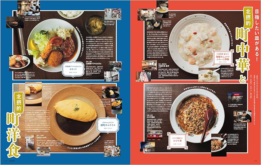 わさび　洋書　6点 わさび 洋書 6点 わさび 洋書 6点 BJU Press English Grade 6