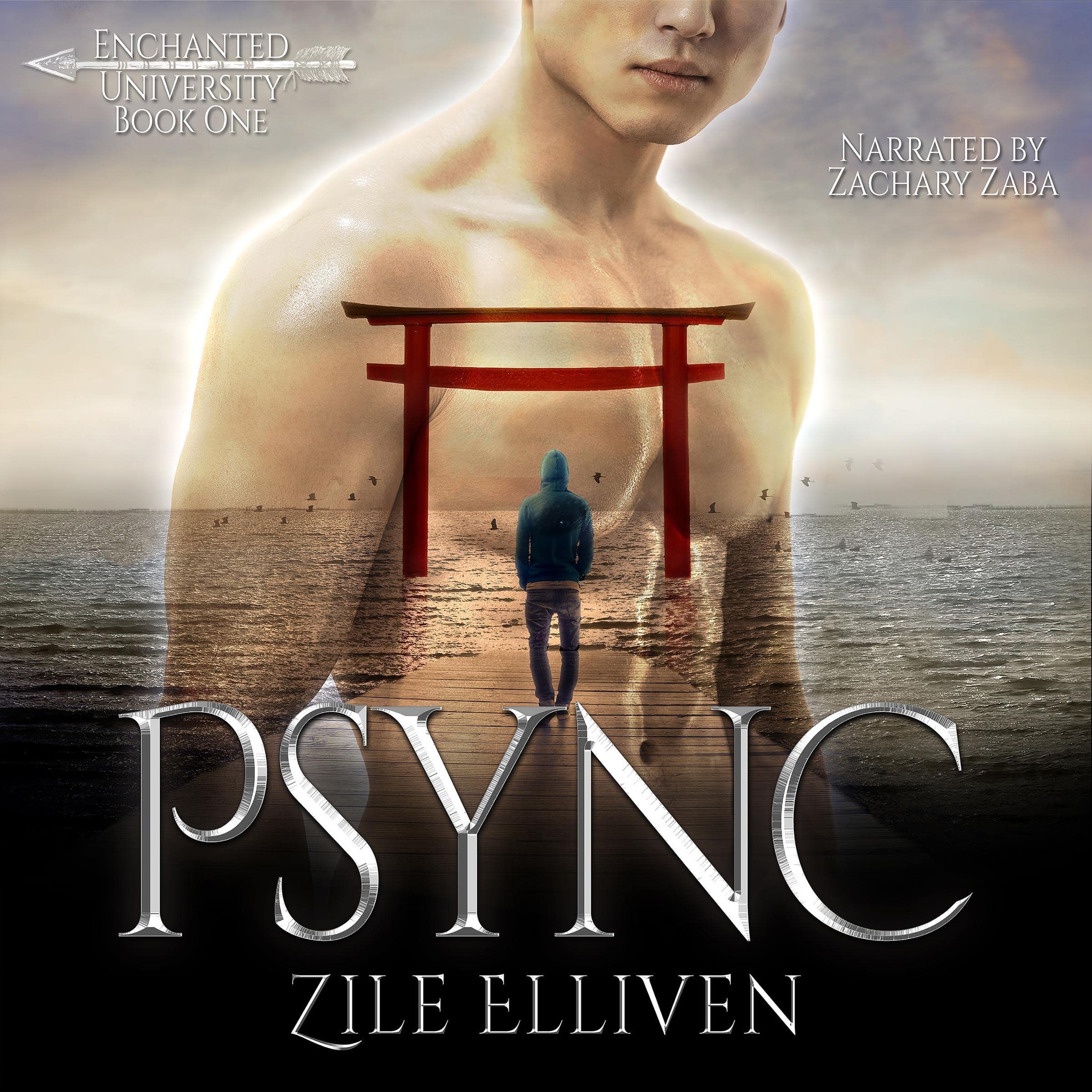 Cover art for Psync