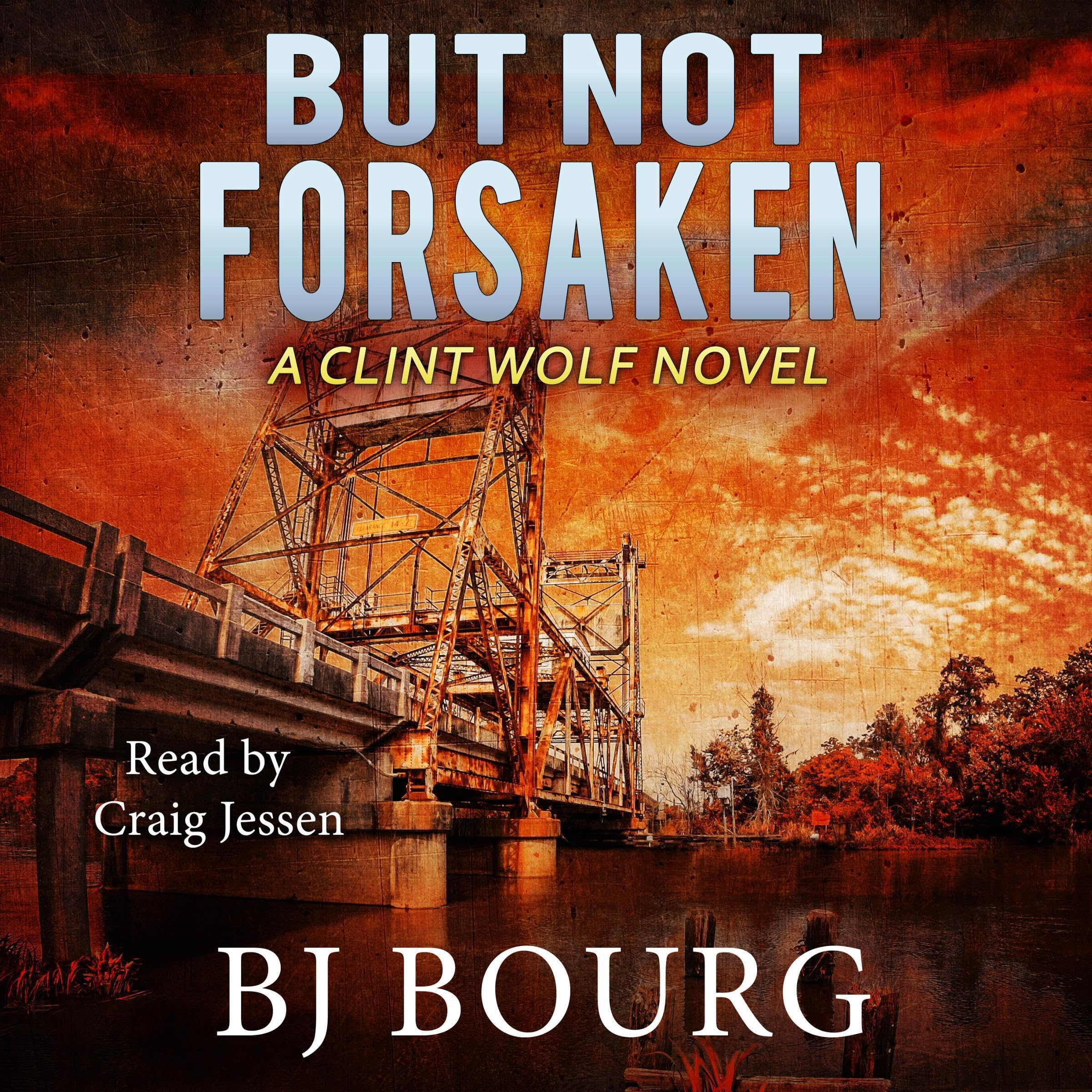 Cover art for But Not Forsaken