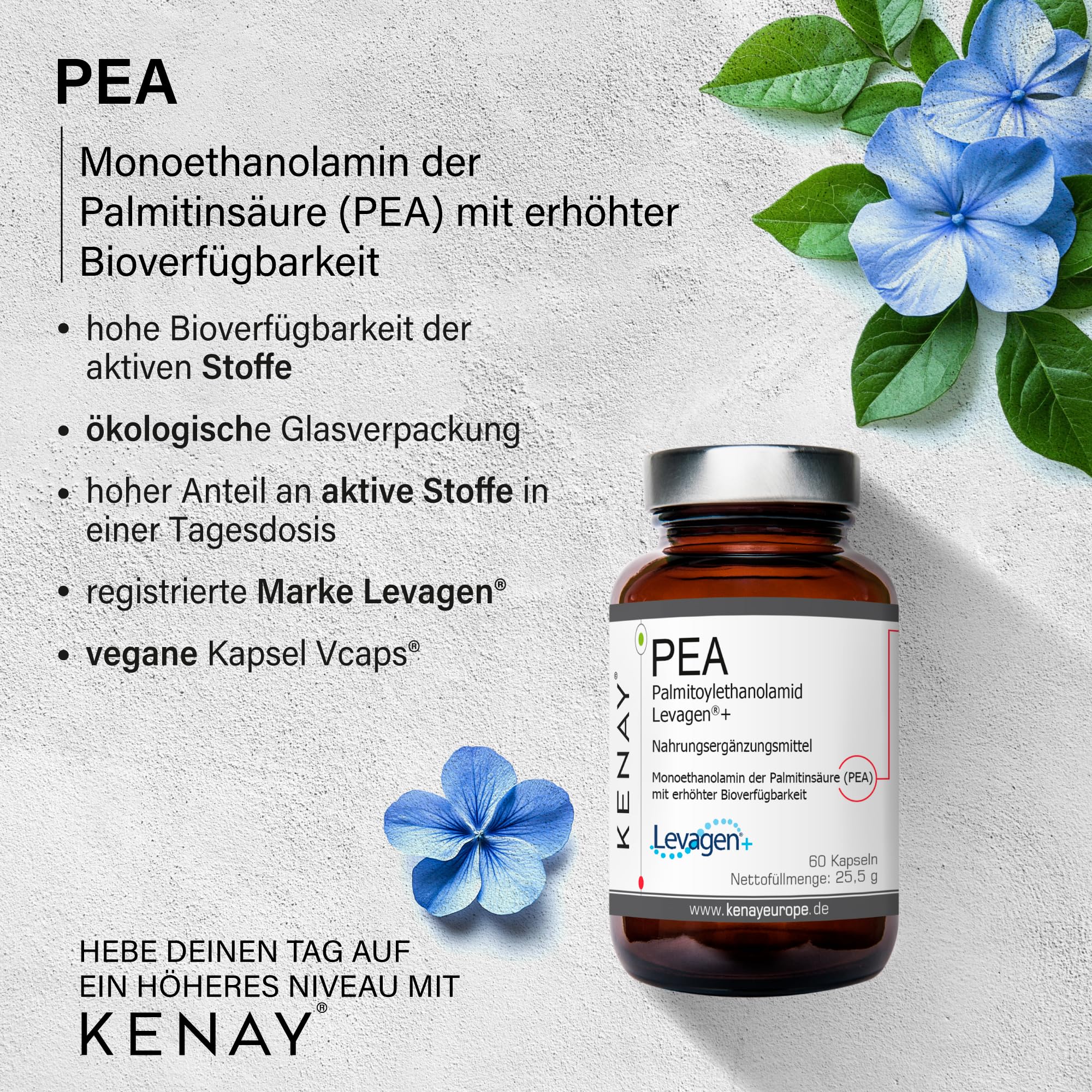 PEA Levagen®+ Nahrungsergänzungsmittel 60 Kapseln vegan