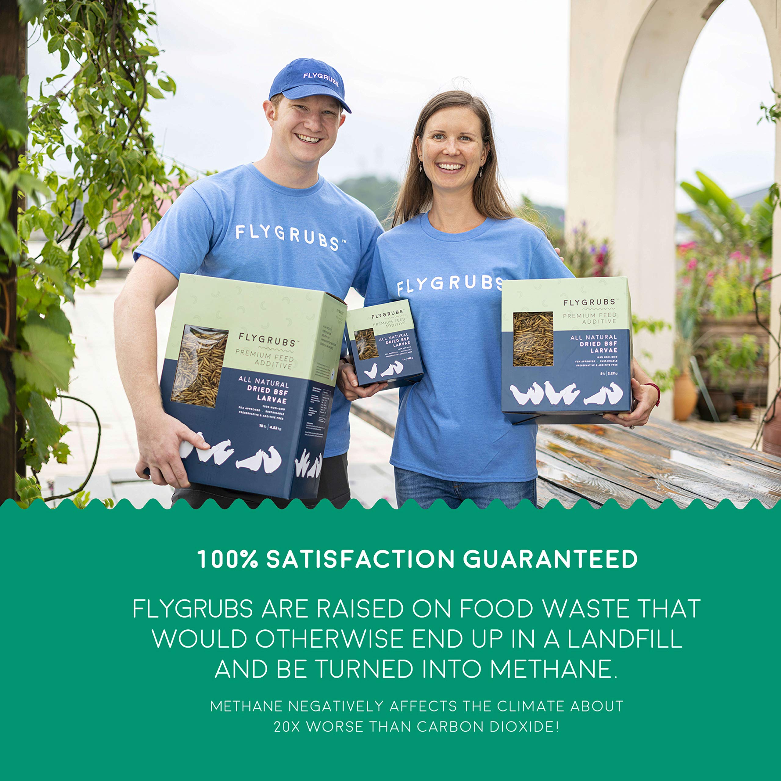 Buy FLYGRUBS Superior to Dried Mealworms for Chickens (1lb) 85X More Calcium Than Live