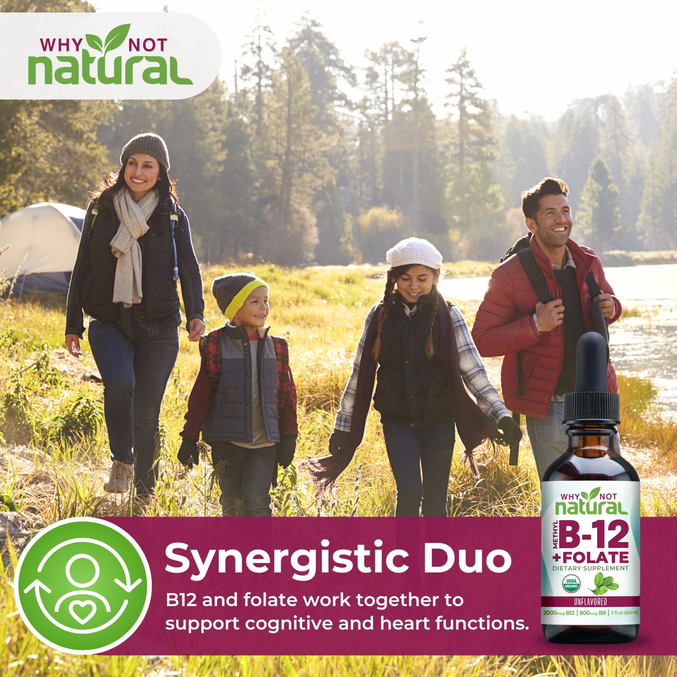 Why Not Natural Vitamin B12 Liquid Plus Folate - Organic Sublingual Extra Strength Vegan Drops - Methyl Supplement with Folinic — Amazon image 3