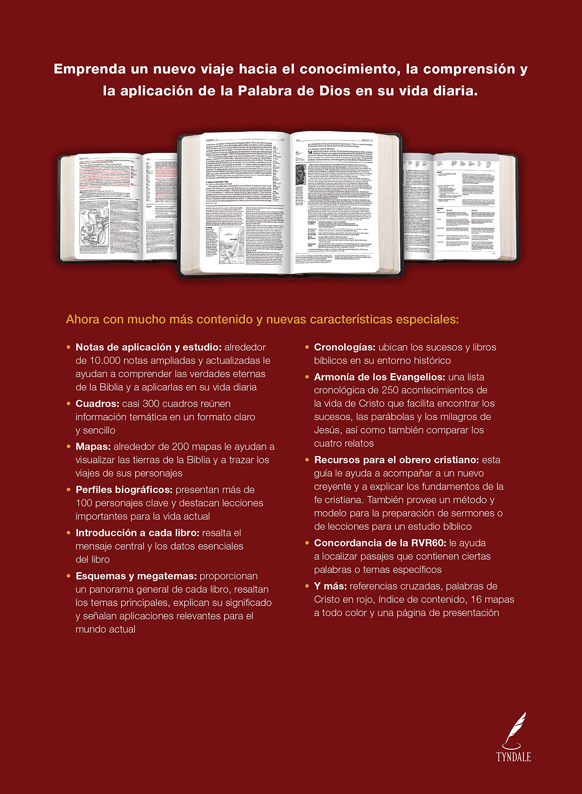 Biblia de Estudio del Diario Vivir Rvr60, Duotono