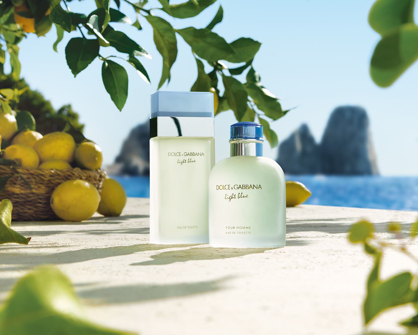 Amazon.com: Dolce & Gabbana 淡藍色Pour Homme,淡香水噴霧,男士適用