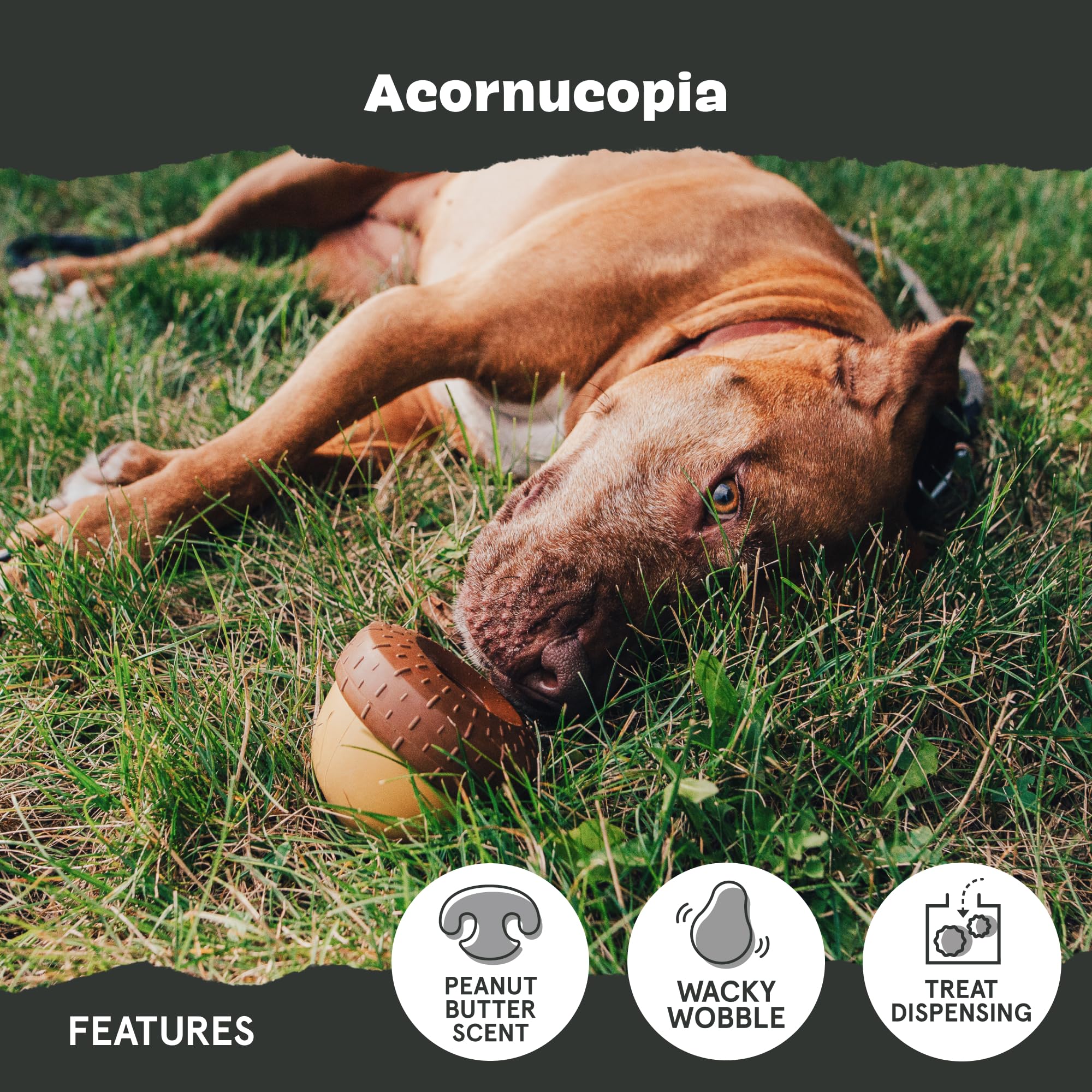 Bark Acornucopia Çi̇ğneme Köpek Oyuncağı