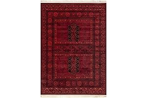 nuLOOM Billie Traditional Paneled Fringe Area Rug, 4x6 Feet (Red)