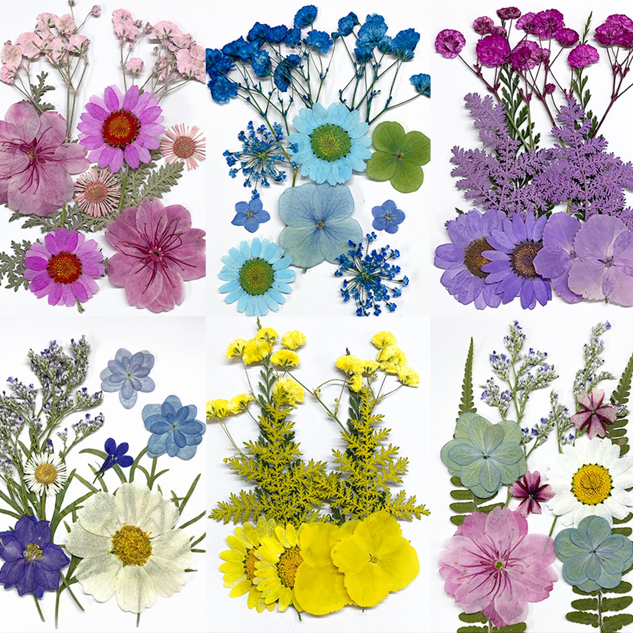 LAUMOE 2 Packs Dried Flowers, Dried Flower, Small Dried Flowers Dried