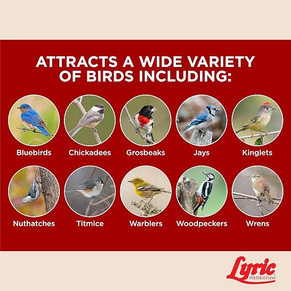 Lyric Fruit & Nut Wild Bird Seed Suet Cakes, 12 oz. (12 Pack)