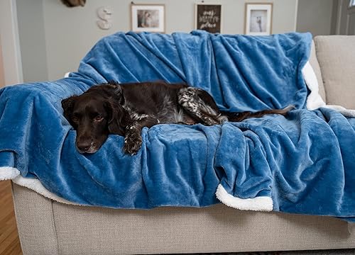 Miniatura 2 de MyPillow Manta para mascotas grande, azul