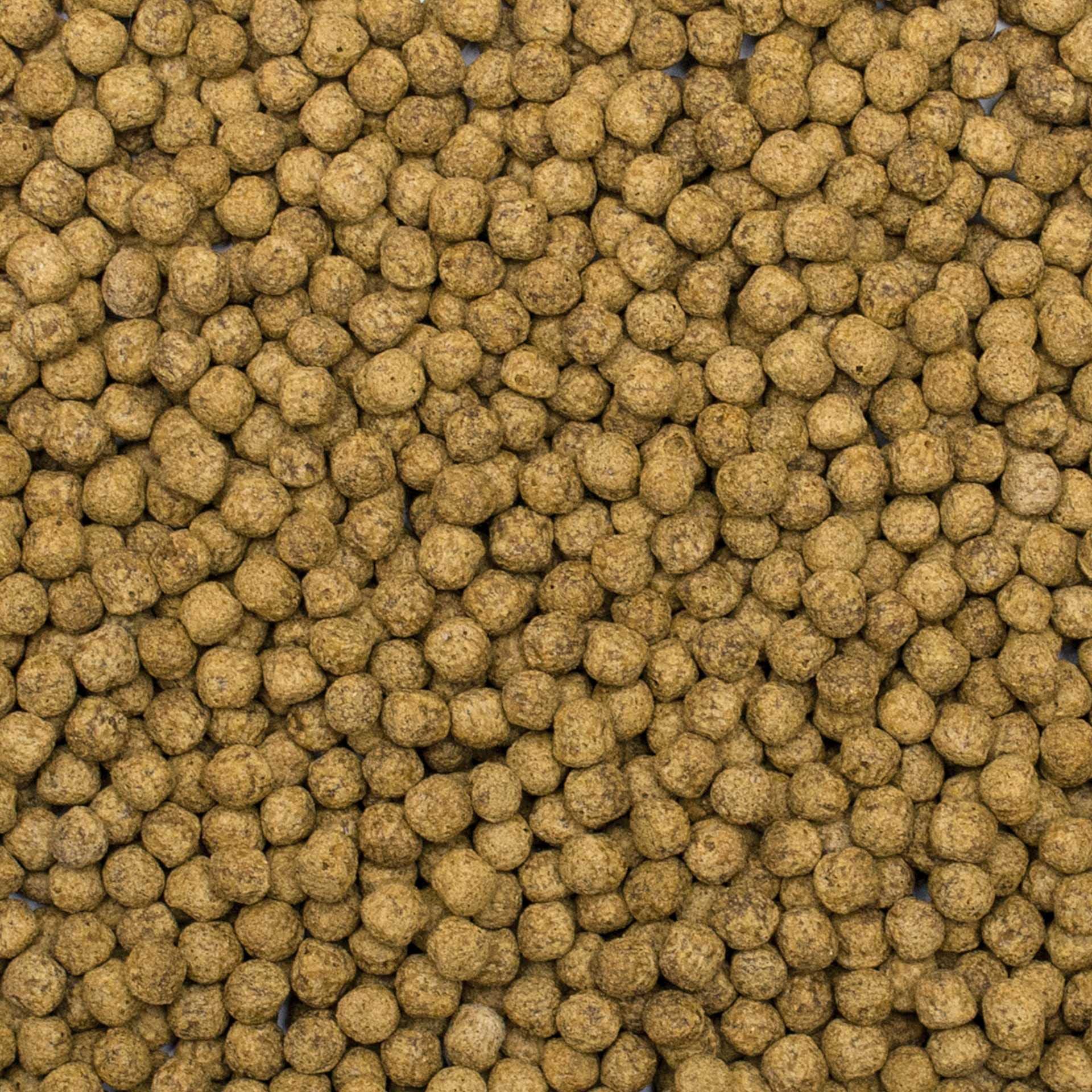 KOI Silkworm&ASTAXANTHIN Pellet Size M 7kg - alimento para la alimentación Diaria de Medio la Carpa koi Durante Estaciones cálidas del año, a temperaturas del Agua: de 15 a 30oC