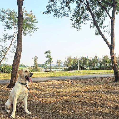 Miniatura 4 de ZALER - Correa larga para perros de 50 pies, 30 pies, 20 pies, 15 pies, 10 pies, correa de entrenamiento para perros, cordón reflectante resistente