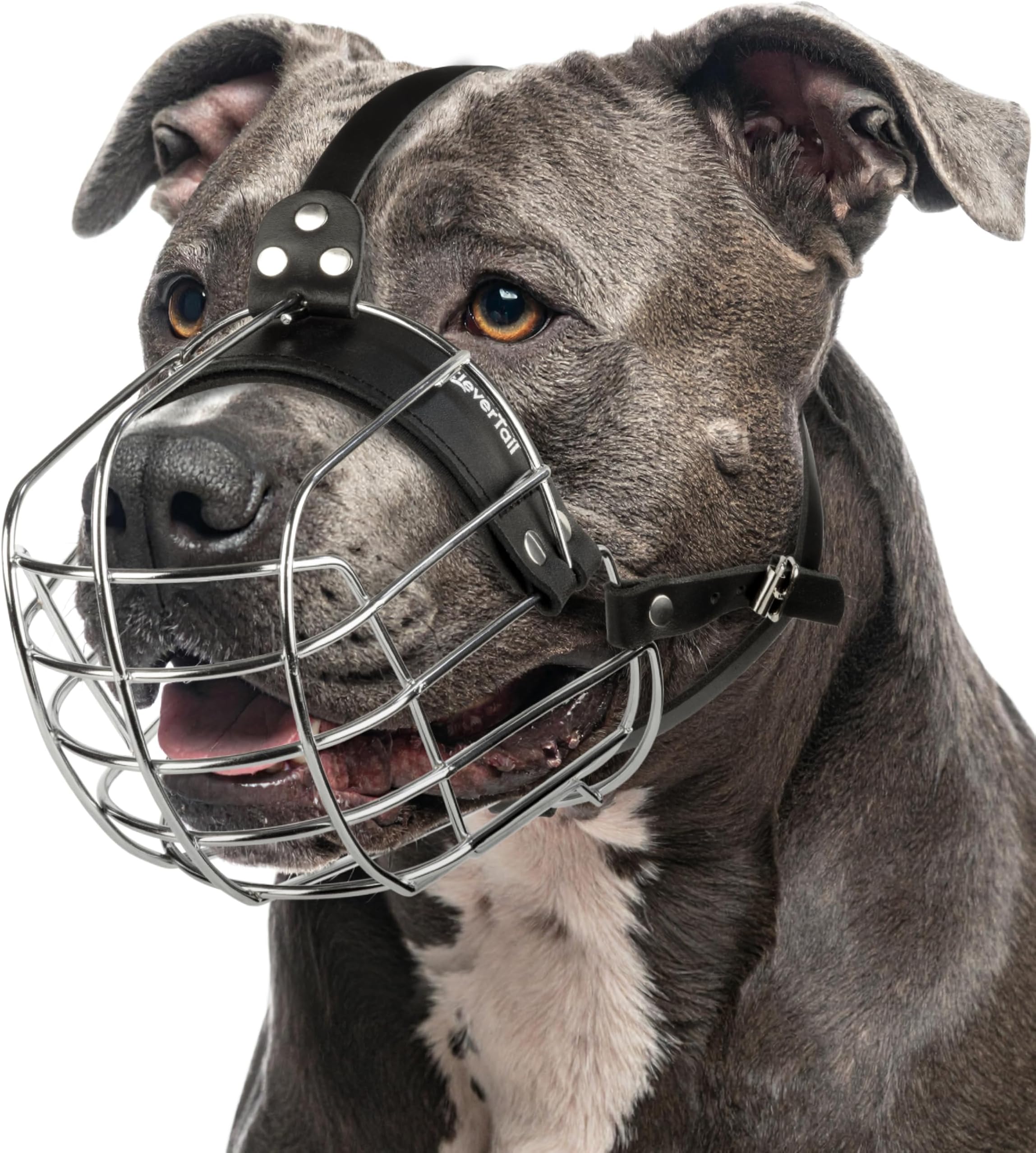 Metal Pitbull Muzzle for Large Sized Dog – Basket Muzzle for Dogs with Adjustable Leather Straps – Steel Cage Dog Muzzles to Prevent Biting – Mouth Guard for Large and Medium Pitt Bull