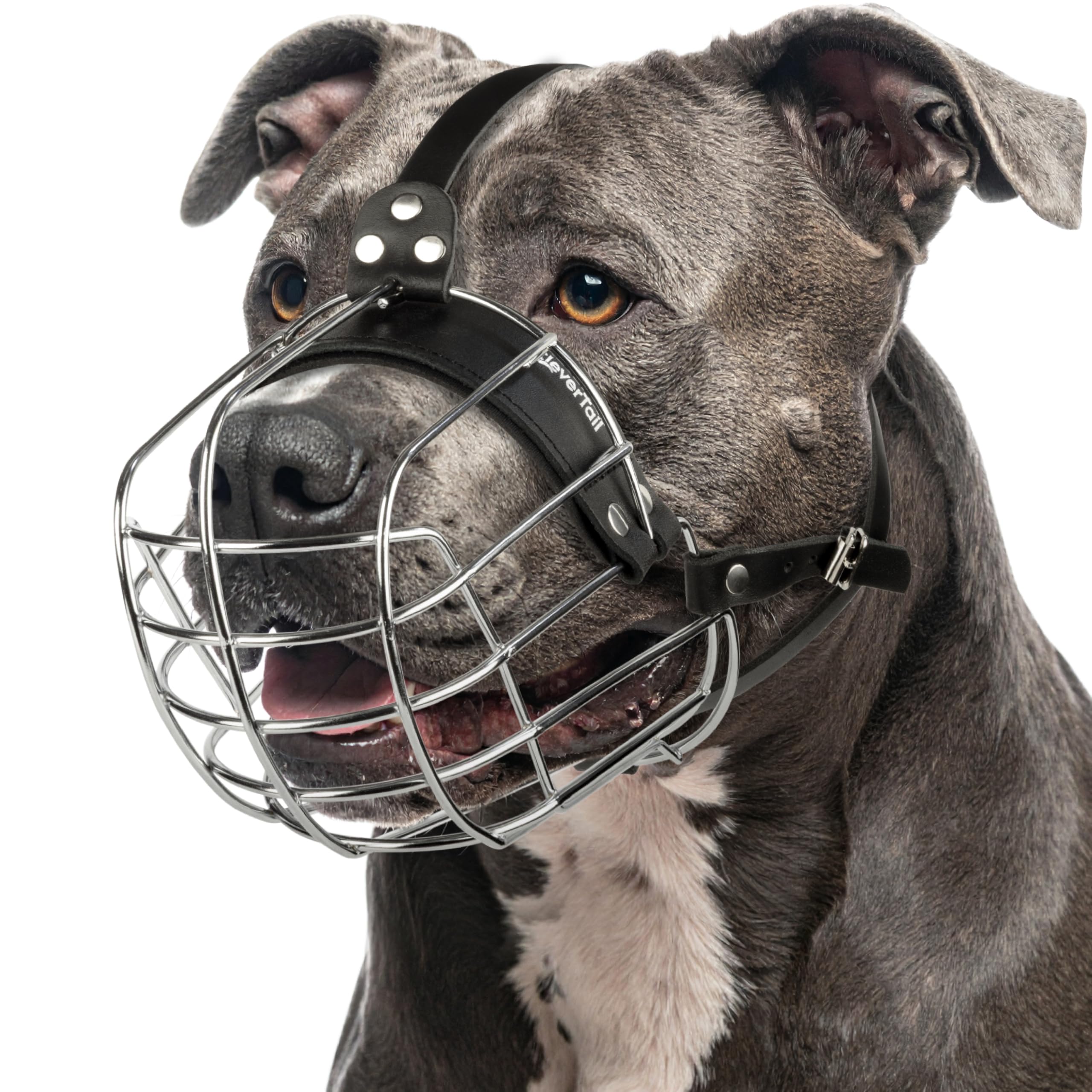 Metal Pitbull Muzzle for Large Sized Dog – Basket Muzzle for Dogs with Adjustable Leather Straps – Steel Cage Dog Muzzles to Prevent Biting – Mouth Guard for Large and Medium Pitt Bull