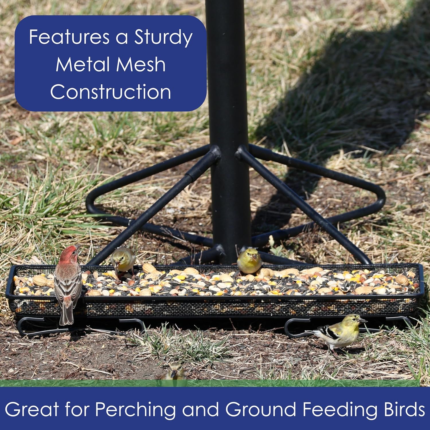 Mammoth Deck and Ground Feeder Tray - Metal Bird Feeder Tray for Cardinals, Finches Woodpeckers, Jays and Squirrels