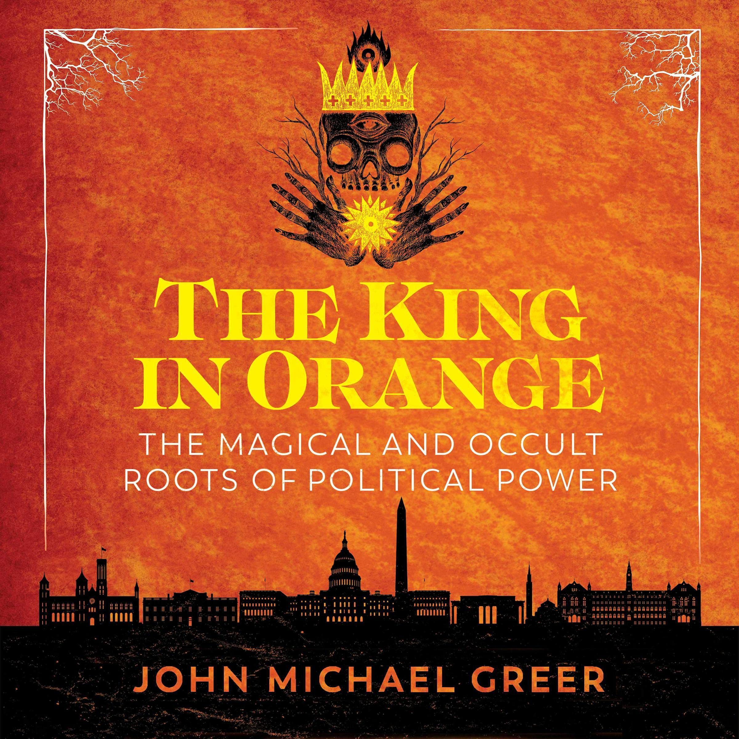 Cover art for The King in Orange