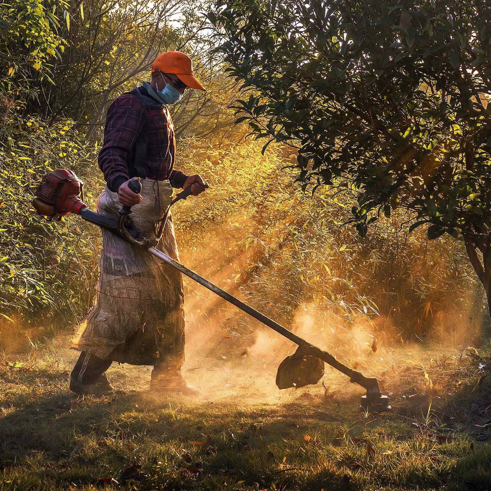 thumbnail: Zeqeey Trimmerlijn 2,4mm X 100m - Ronde Nylon Draad Voor Grastrimmers (Oranje)