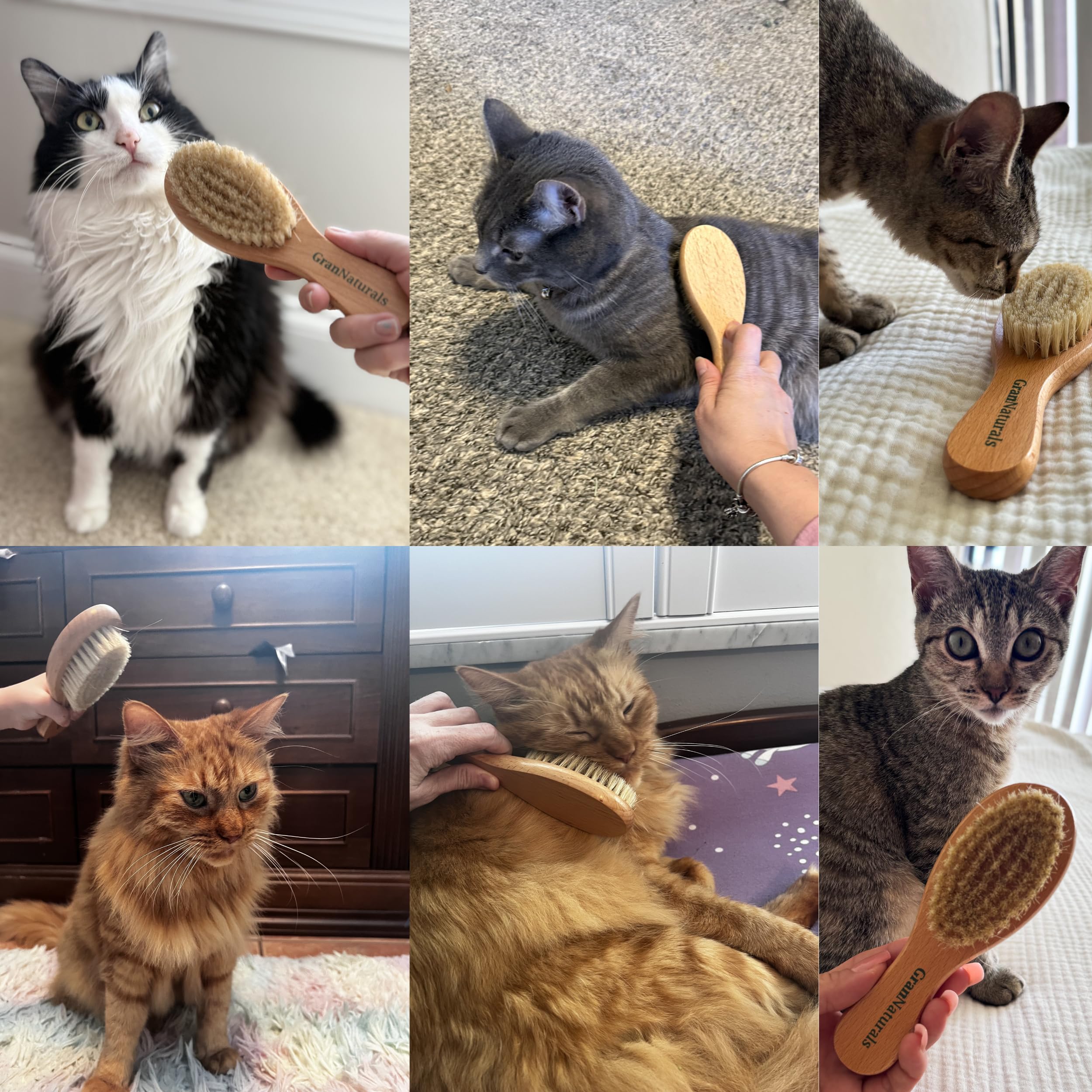 GranNaturals Cepillo suave de cerdas de jabalí para gatos para interiores, exteriores, gatos de pelo corto, gatitos, perros pequeños, conejos, mascotas peludas, aseo suave en pelaje y cola sensibles