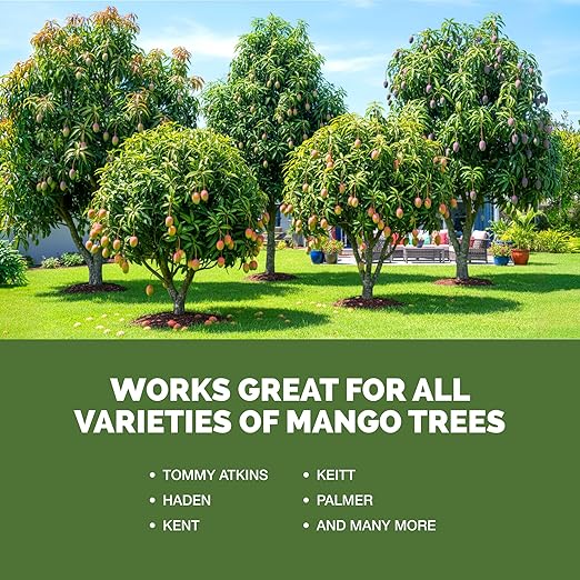 Fertilizante Líquido para Árbol de Mango - 8 oz miniatura 5