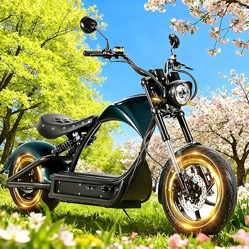 eAhora Peak 6000W M1P Pro 50MPH Electric Motorcycle for Adults 60V 42AH 55 Miles Long Range Electric Motorcycle, Full Suspension Dual Hydraulic Brake Dot Approved Motorcycle for Commuting