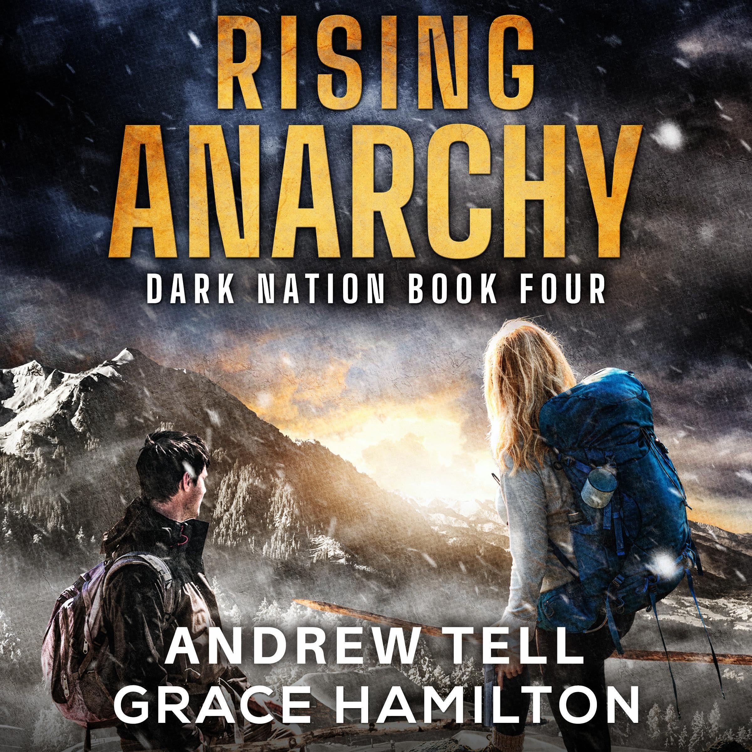 Cover art for Rising Anarchy