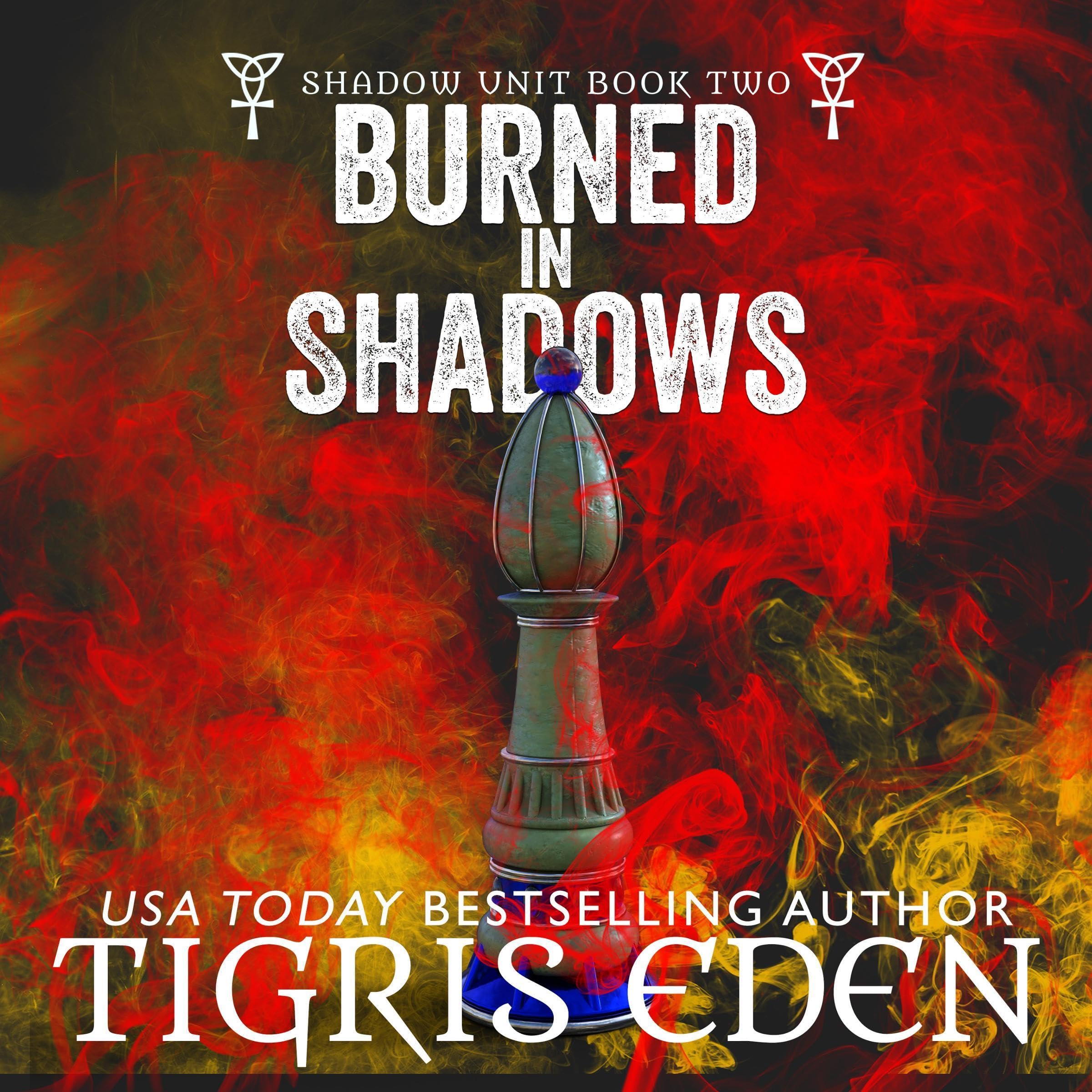 Cover art for Burned in Shadows