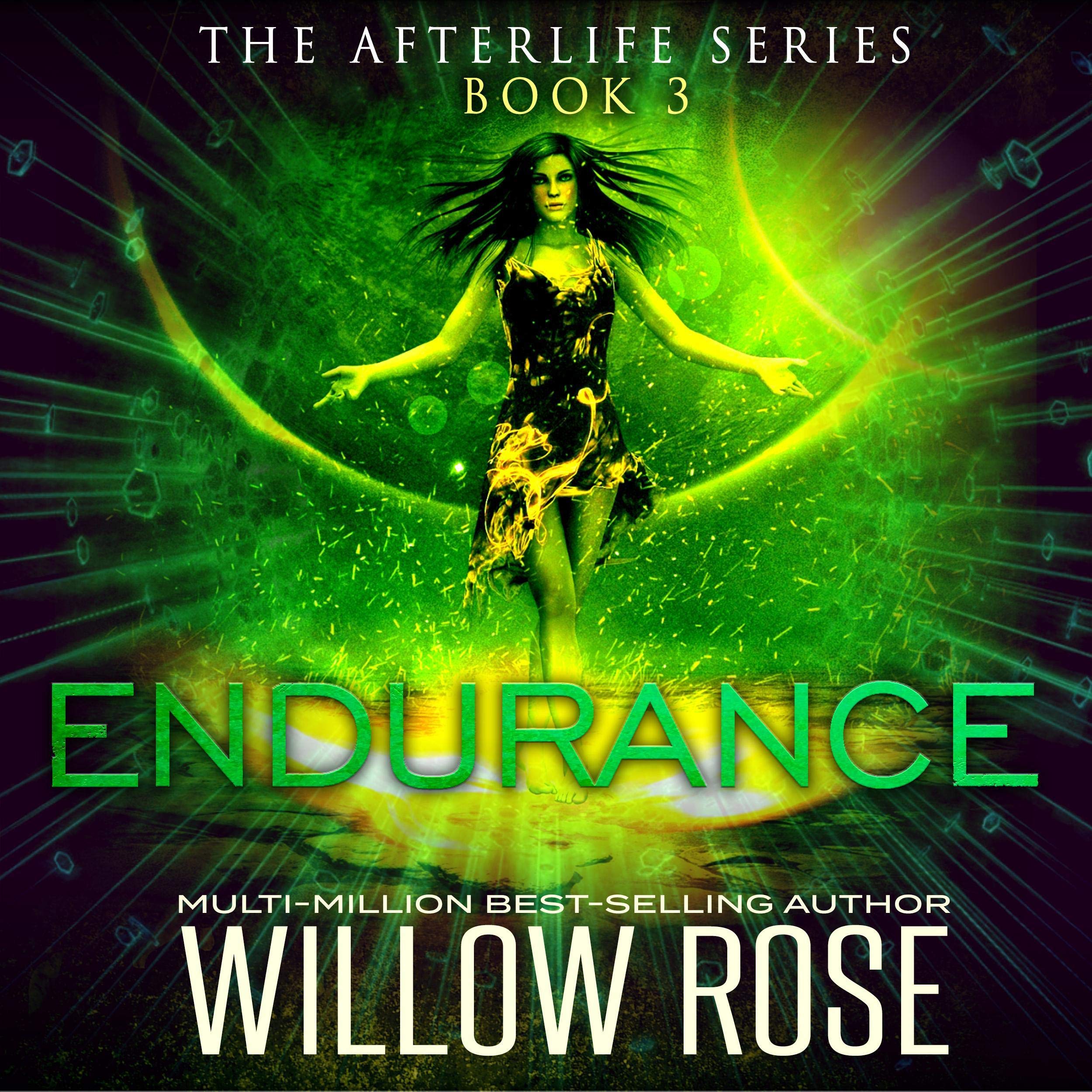 Cover art for Endurance: Afterlife, Book 3