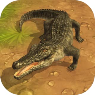 Crocodile Attack 3D - coolthings.us