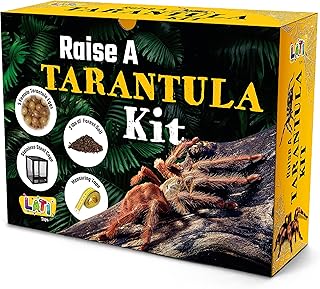 LATI TOYS Prank Tarantula Raise - Wrap Your Real Gift in a Prank Funny Gag Joke Gift Box ; Awesome Novelty Gift Box for Any Adult or Kid! Gag Party Funny Silly Joke Gift, No Contents Added