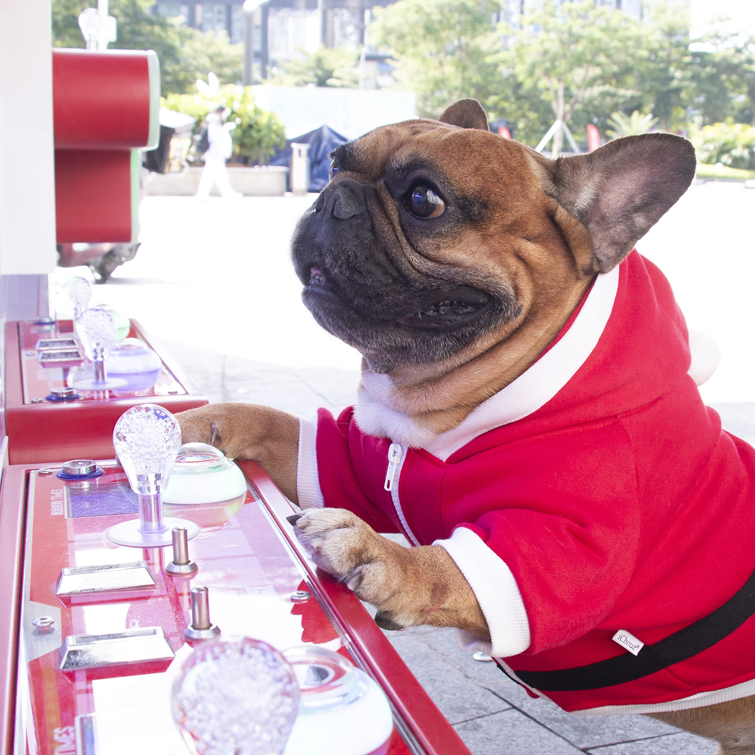 iChoue Santa Claus Father Christmas Dog Halloween Costumes Clothes Hoodies for French Bulldog Cold Weather Winter Coats Frenchie English Pug Pitbull Boston Terrier