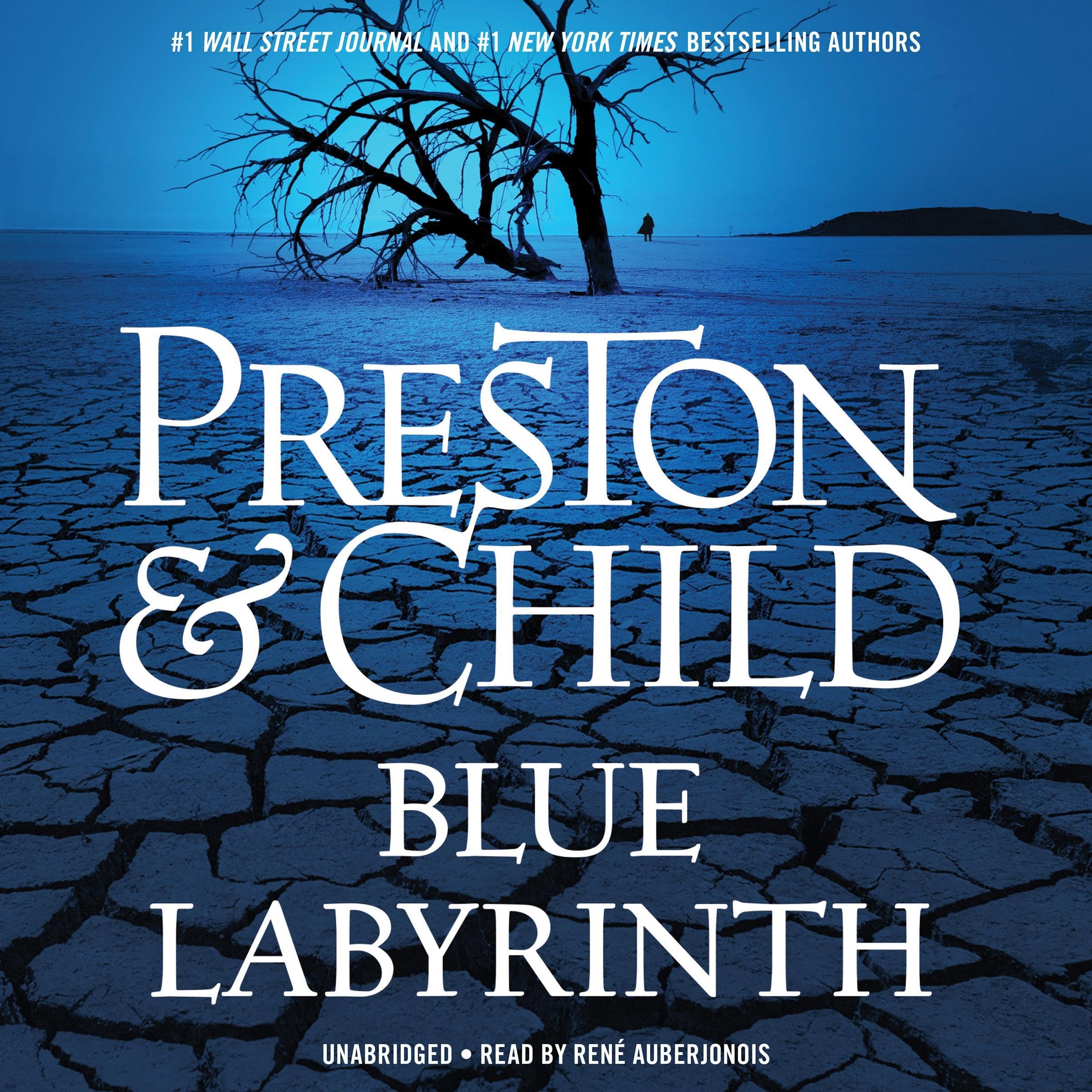 Cover art for Blue Labyrinth