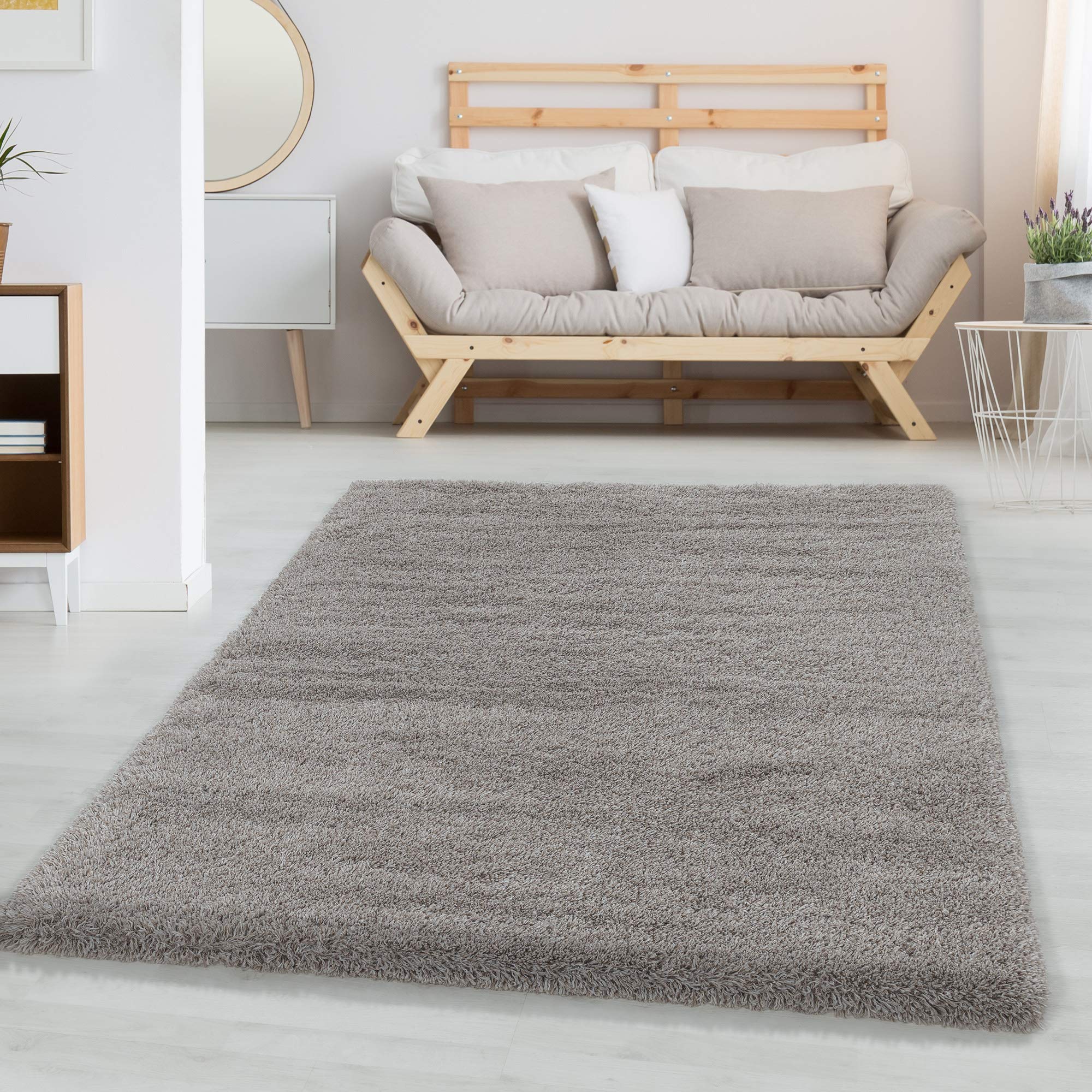 Carpettex Alfombra Salon Peludo de Pelo Largo 200x300 (200 x 290 cm) Beige - Alfombras de Habitacion Modernas Suave y Esponjoso Sala de Estar - Moderna Alfombra Cocina, Dormitorio Moqueta OEKO-TEX STANDARD 100