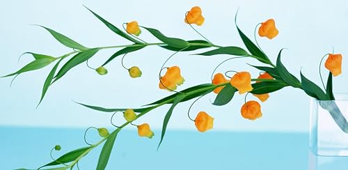Flowers Wallpapers – vue 8