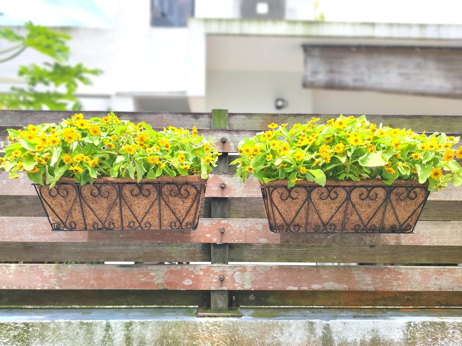 LaLaGreen Wall Planters 2 Pack, 16 Inch Window Flower Boxes Outdoor